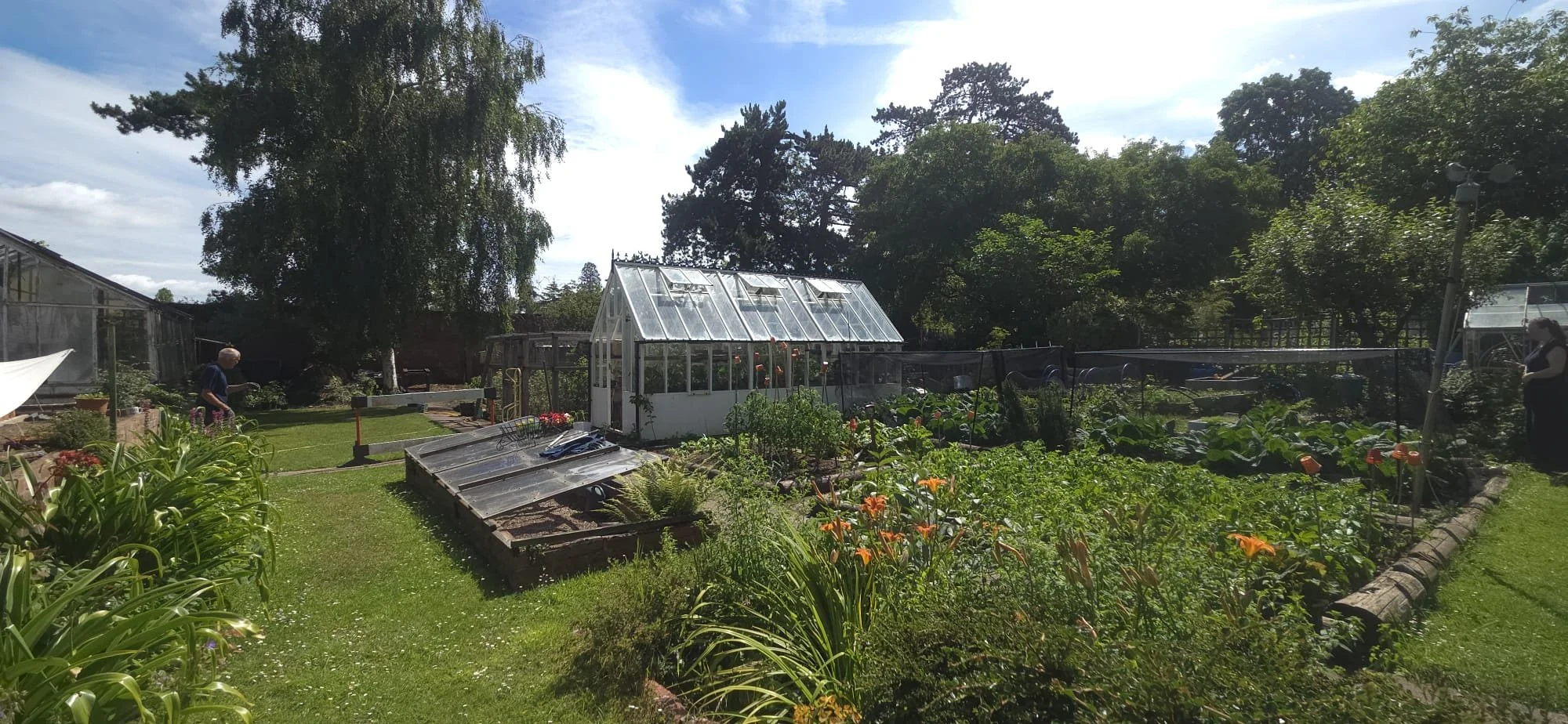 Greenhouse wide.jpeg