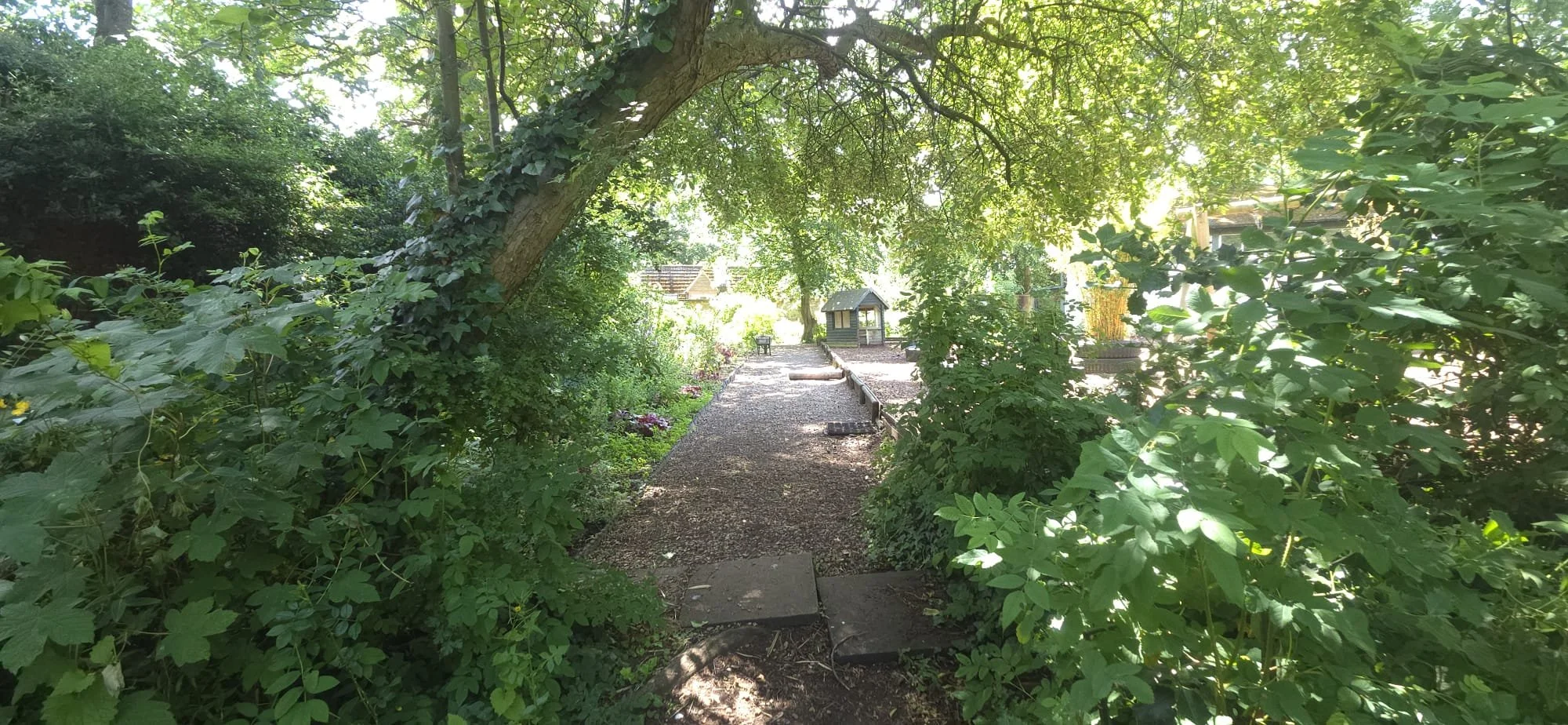 Narrow path.jpeg
