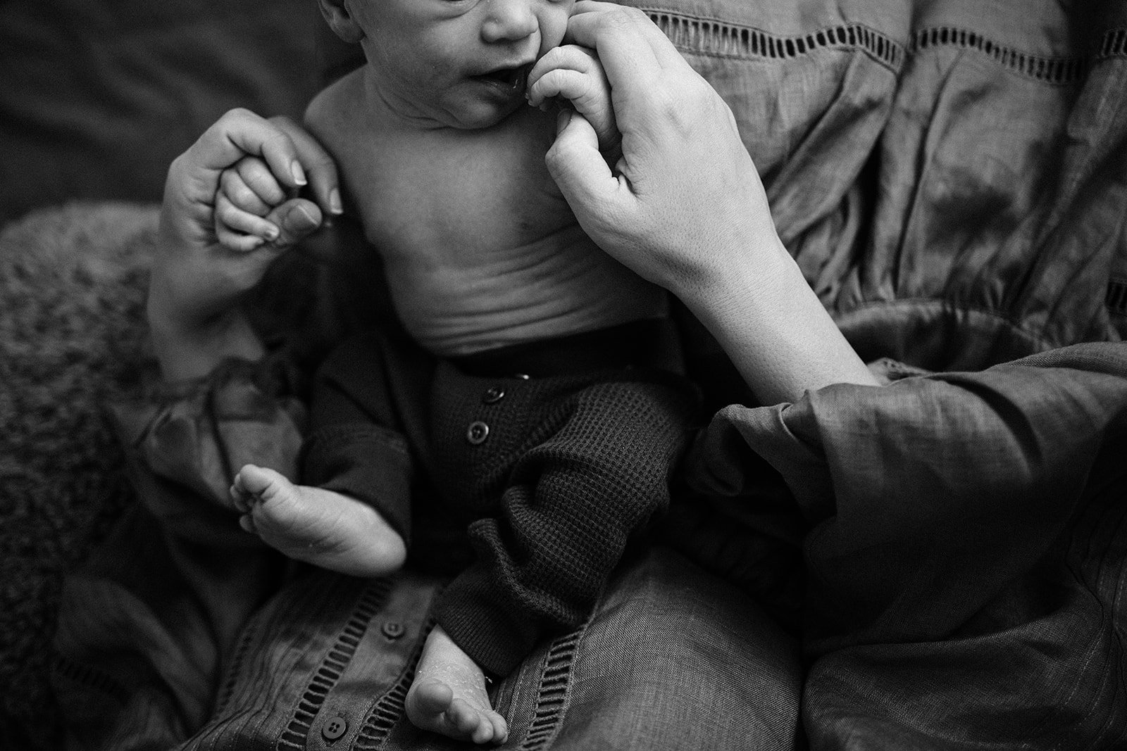 Newborn Photographer Samford.jpg