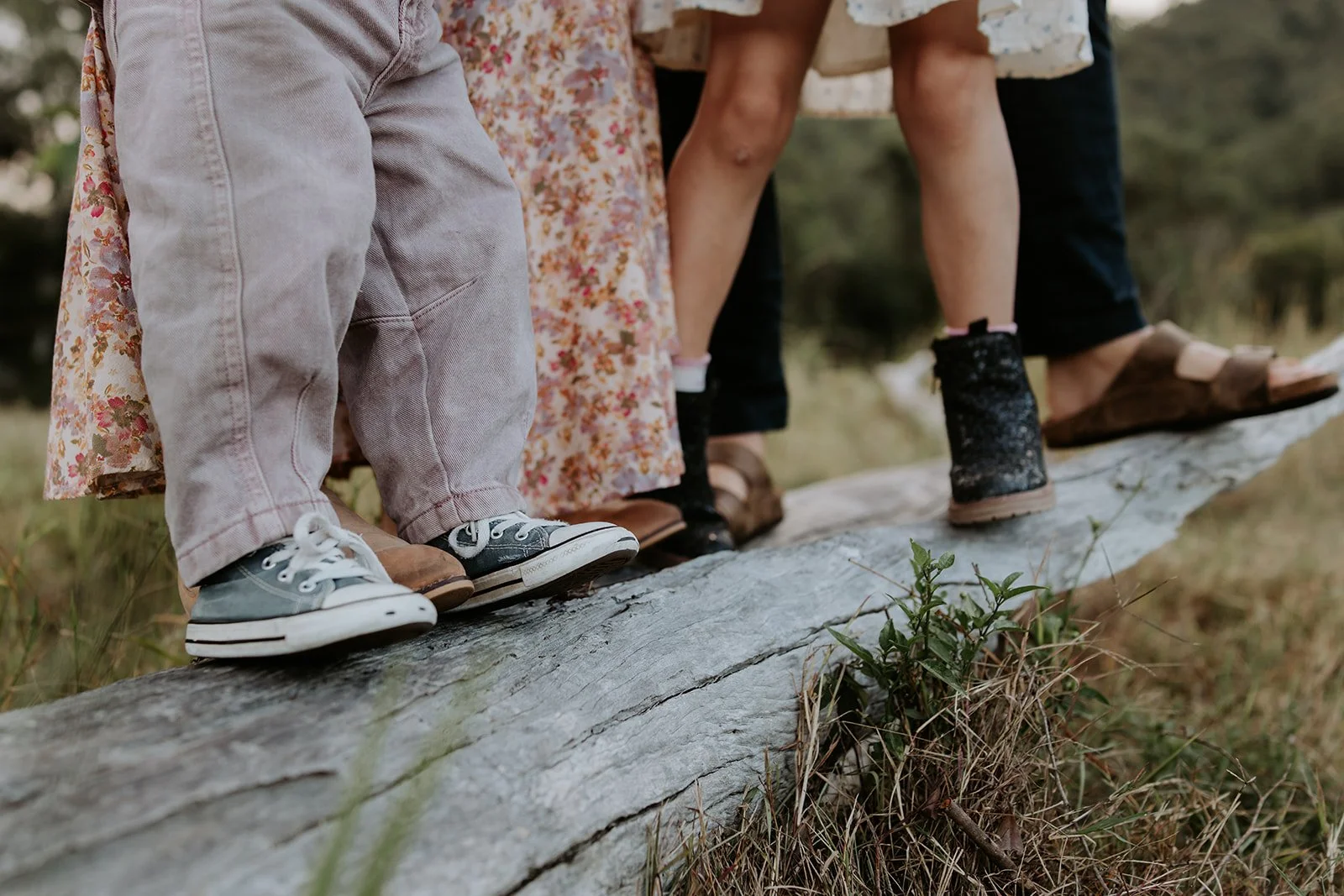 Gold Coast Hinterland Camping Photoshoot.jpg