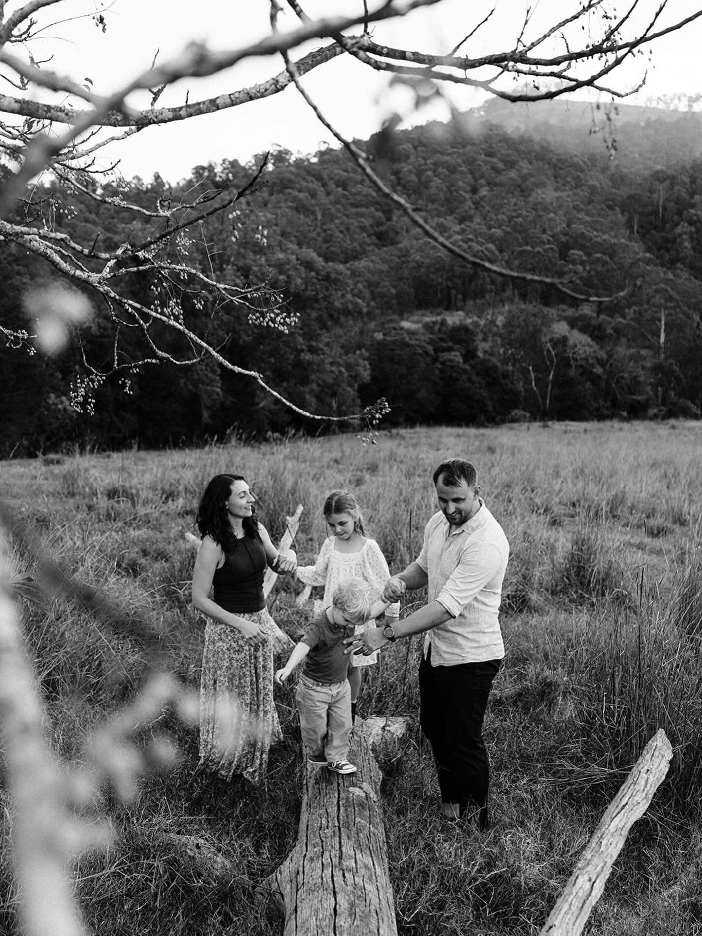 More about this delightful session on the blog!! Link in stories 🏕️ 

#campingphotos #brisbanefamilyphotographer #samfordfamilyphotographer #outdoorlifestyle