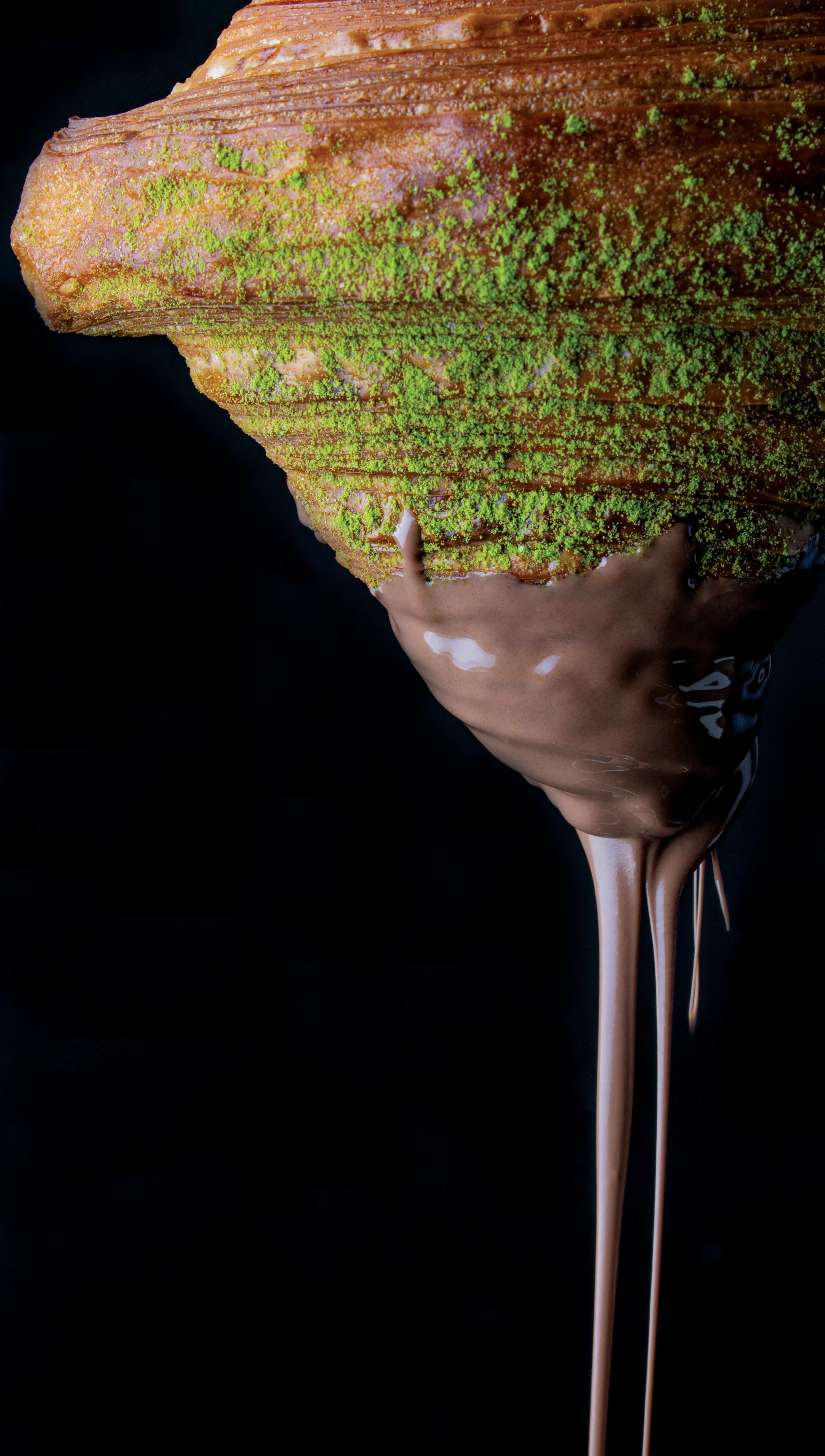 dipped chocolate image.JPG