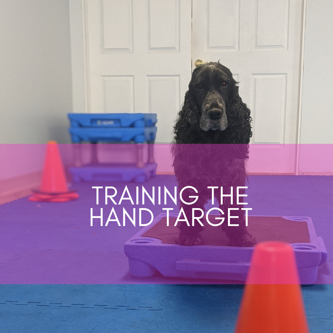 Training the Hand Target