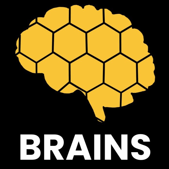 BRAINS