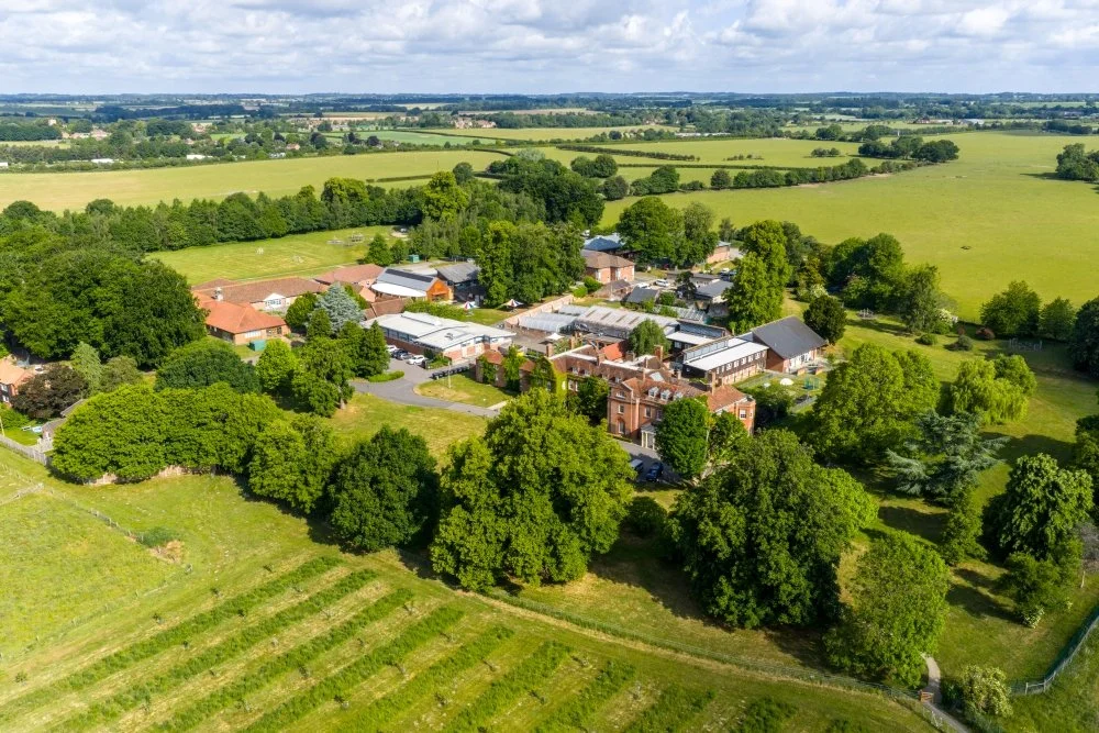 Aerial view of a rural village surrounded by green fields and trees.