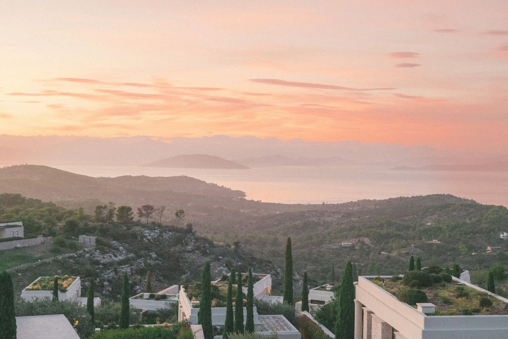 X. AMANZOE