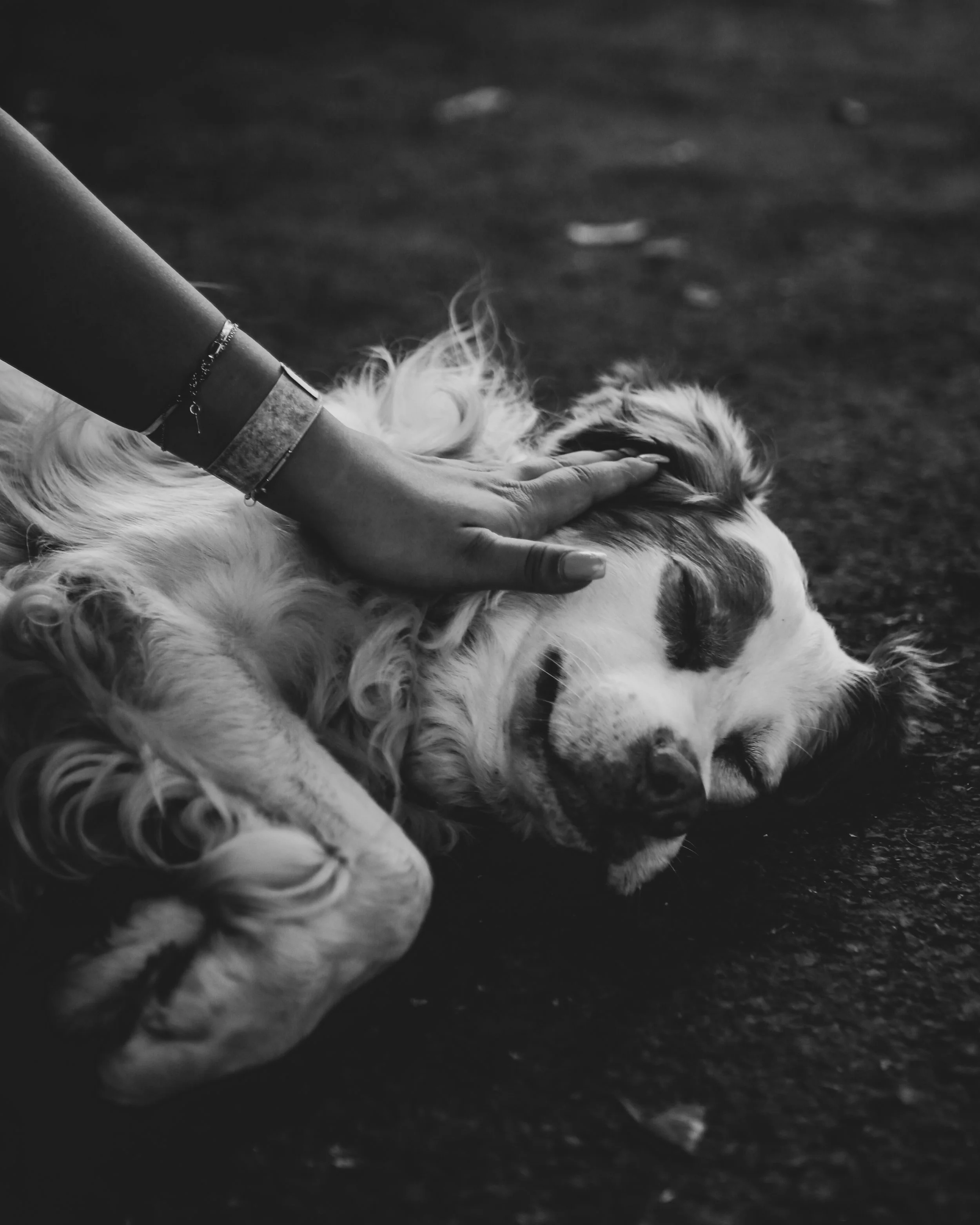 _MG_1512.jpg