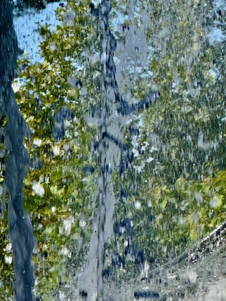 C53F6C37-A066-4A95-A563-96AD369D9F1F_1_105_c.jpeg