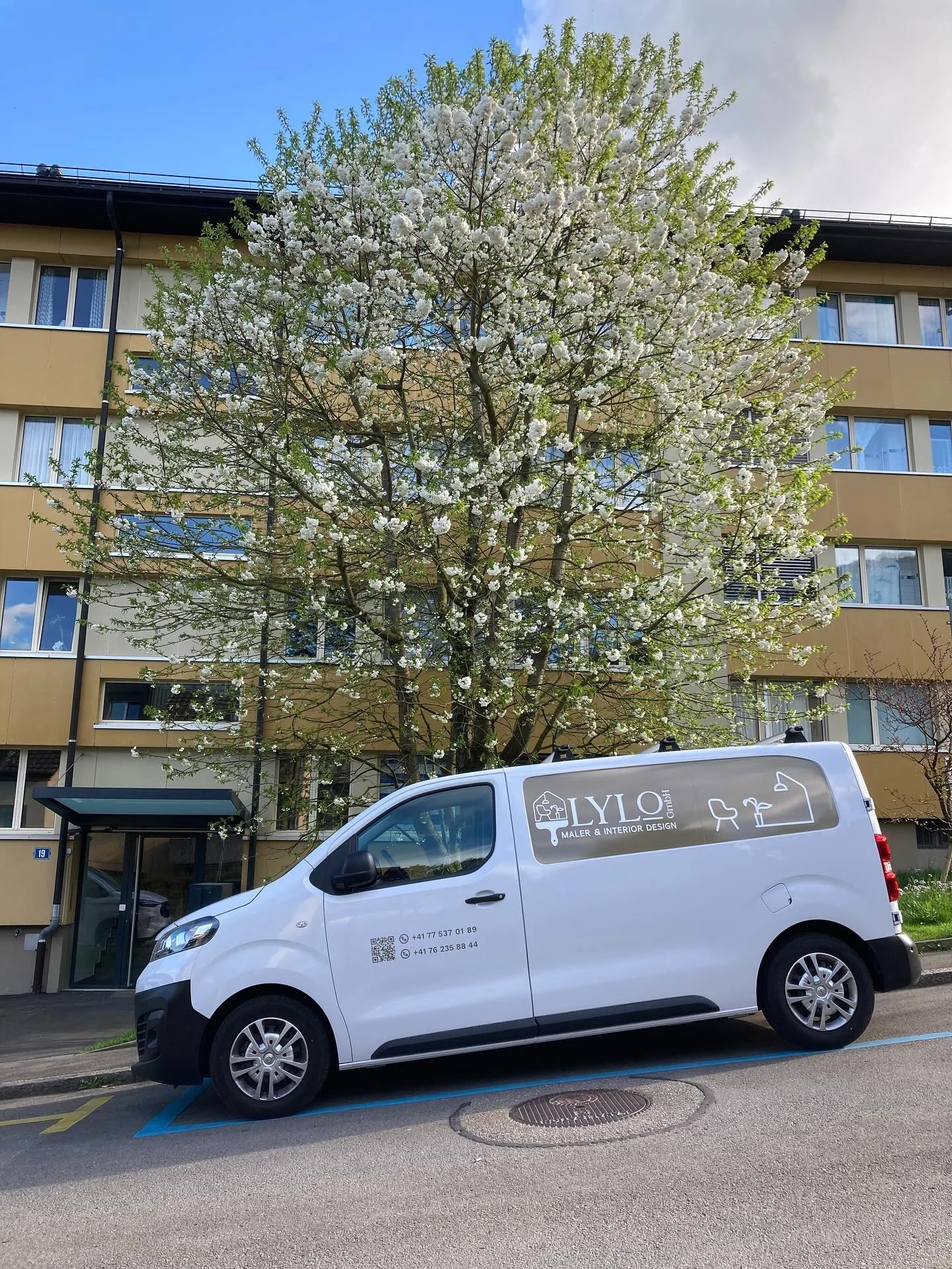 🌸hello mai🌸 

#lylomalerinterior #abcreklamecentrale #nicecar #malerauto