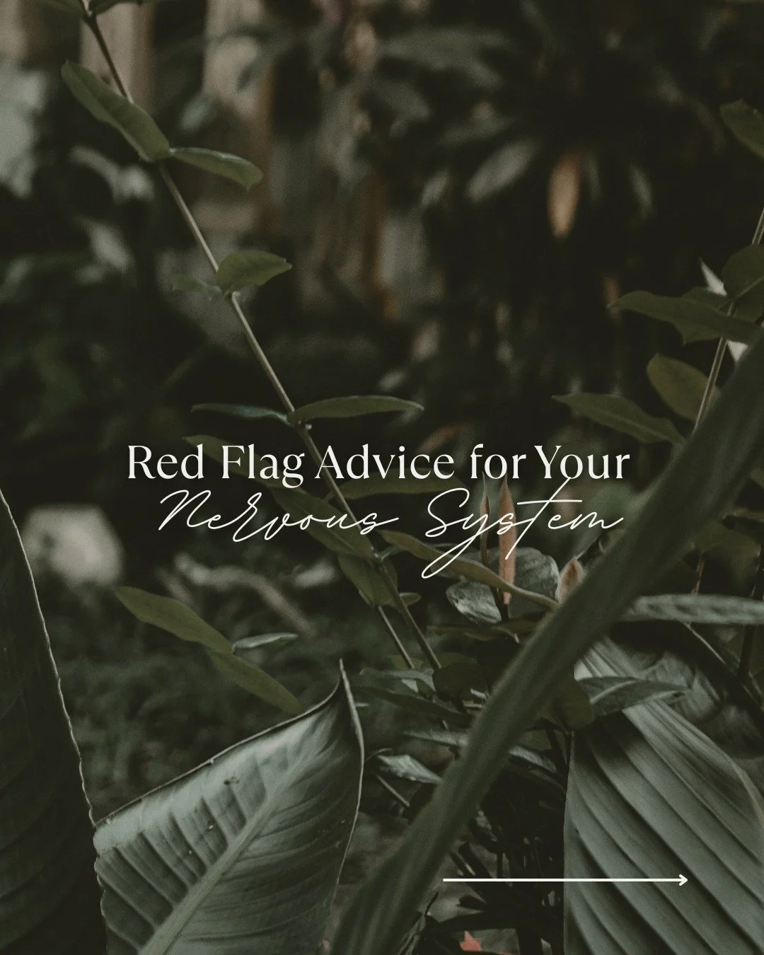 Red flag advice often blames or shames your body and mind instead of teaching it safety, self-regulation, and attunement.
Real nervous system work isn’t about forcing, ignoring, or controlling your experience, it’s about listening to you