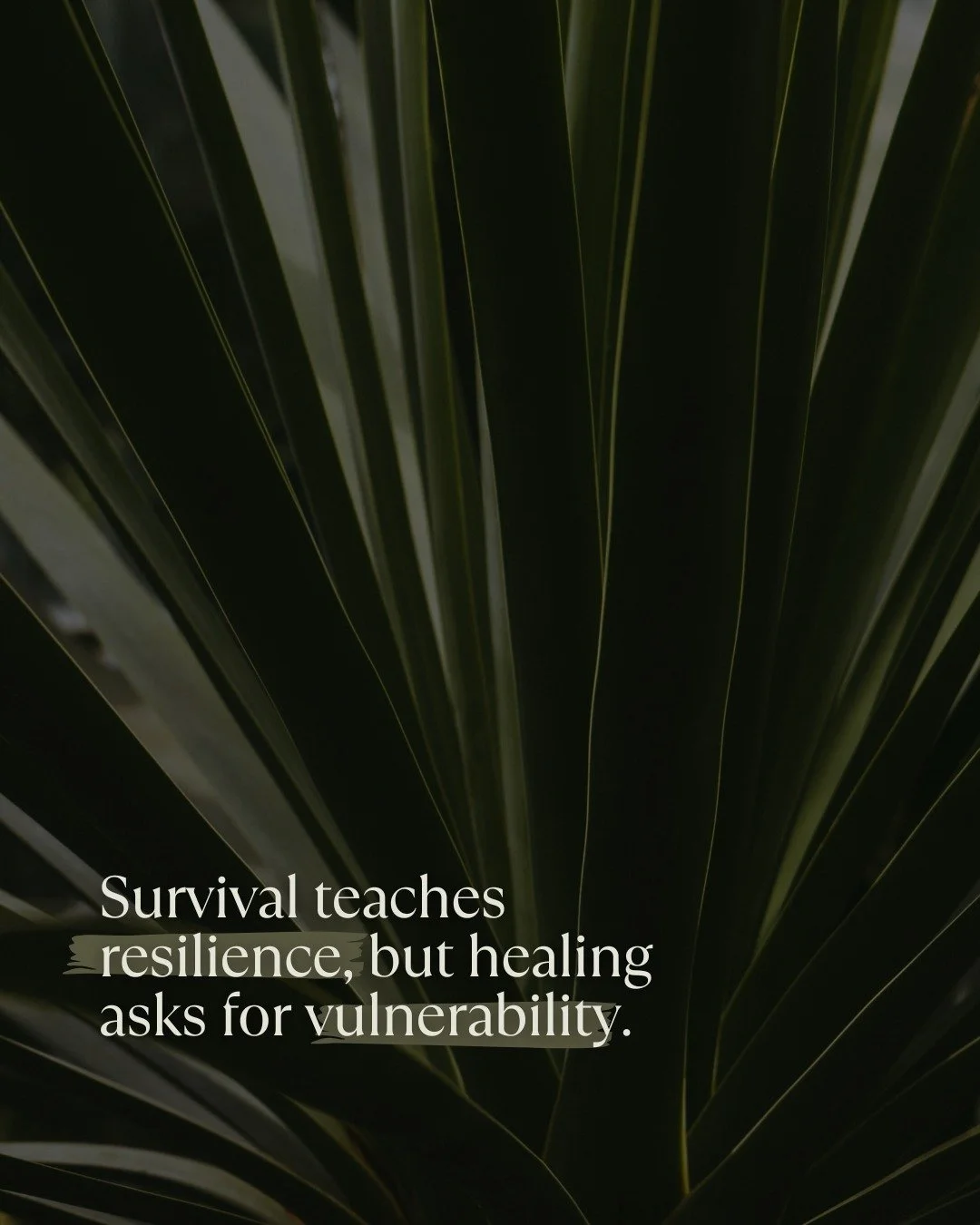 Surviving requires an armor. To navigate trauma, stress, or difficult circumstances, we learn to protect ourselves, to hold back pieces of our emotions, and to keep going even when we&rsquo;re breaking inside. That resilience is essential. It keeps u