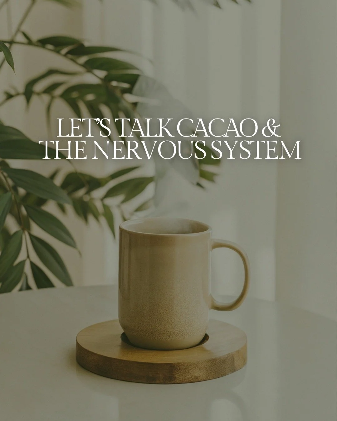 A cup of 100% cacao a day is a simple (and super delicious) way to support nervous system regulation! 🍫 
 
Here's how:
🌙 It's high in magnesium
Magnesium supports the nervous system&rsquo;s ability to settle into rest-and-digest. This helps the bod