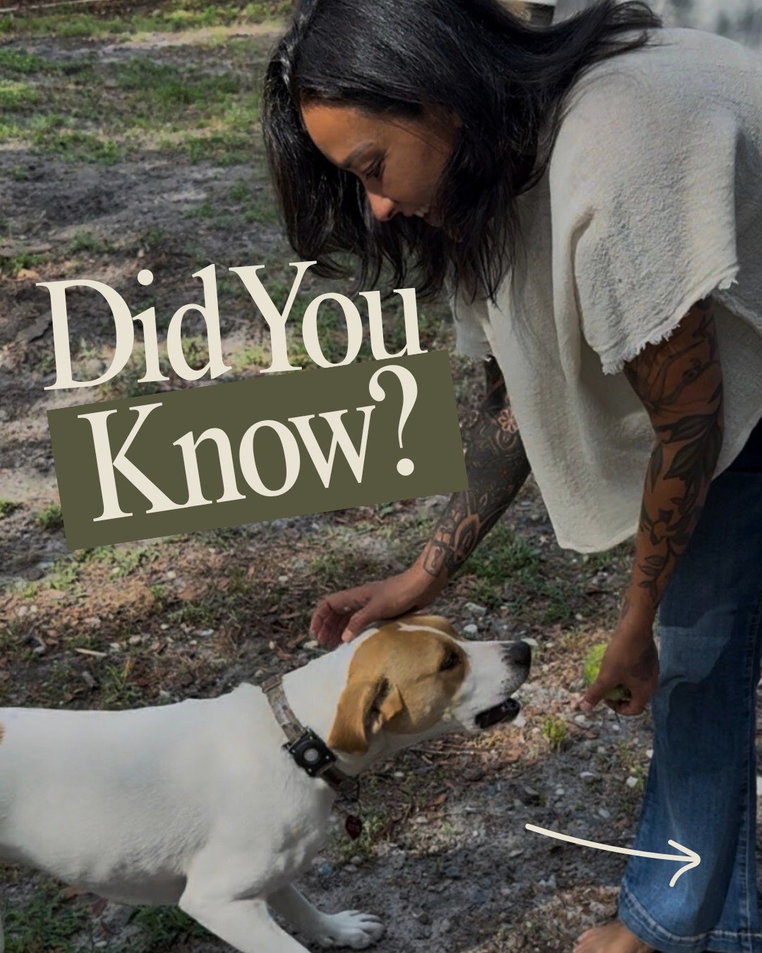 We all know pets are good for the soul, but science shows they&rsquo;re good for your nervous system too 🐾 

Yes, it&rsquo;s real and measurable. Your heart rate slows, your muscles relax, and your brain gets a mini-reset, all while you&rsquo;re jus