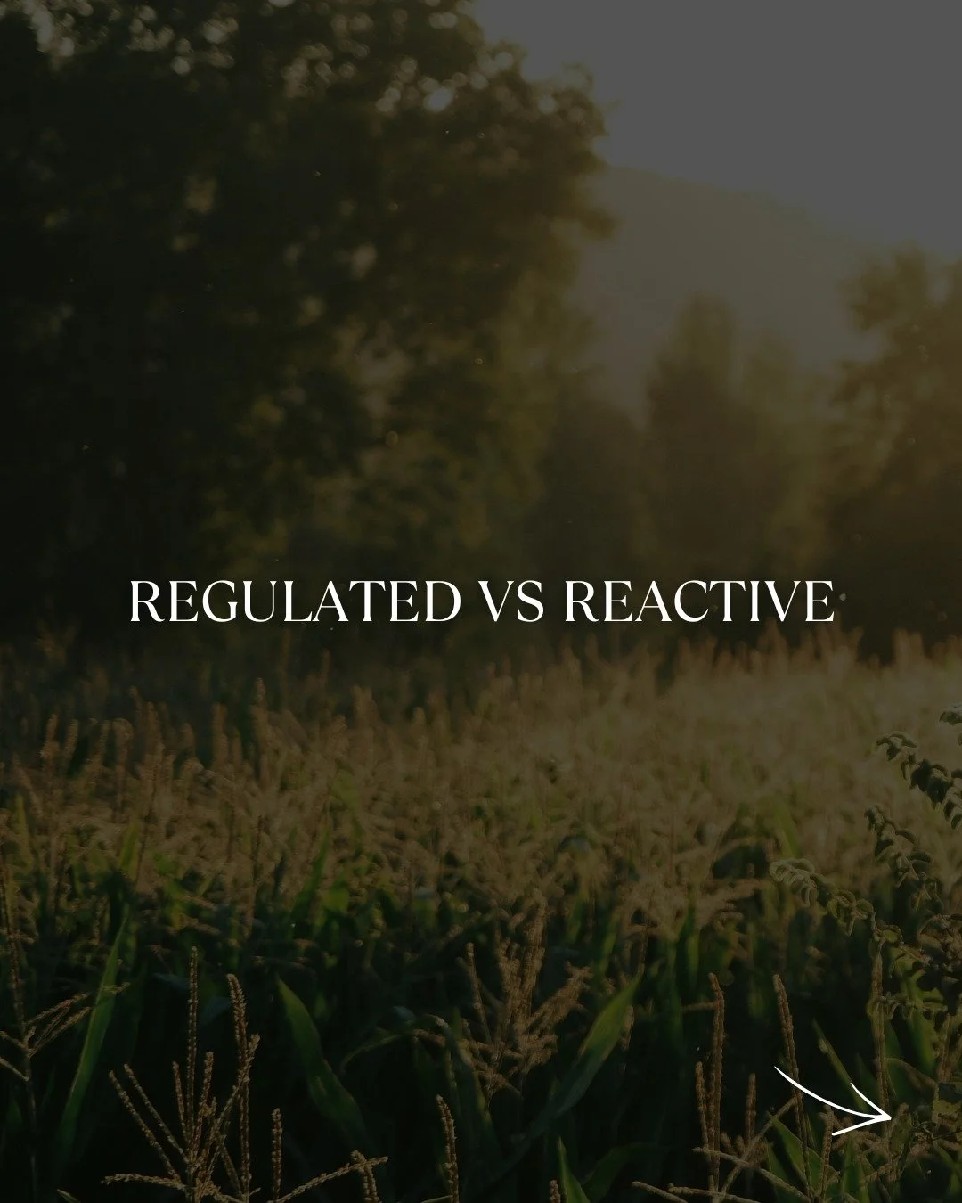 There was a time I thought this was just &ldquo;who I am.&rdquo; Emotional. Intense. Sensitive. Driven. Autopilot.

But the reality of it was that I was living in a body that never felt safe.

When your nervous system is wired for survival, everythin