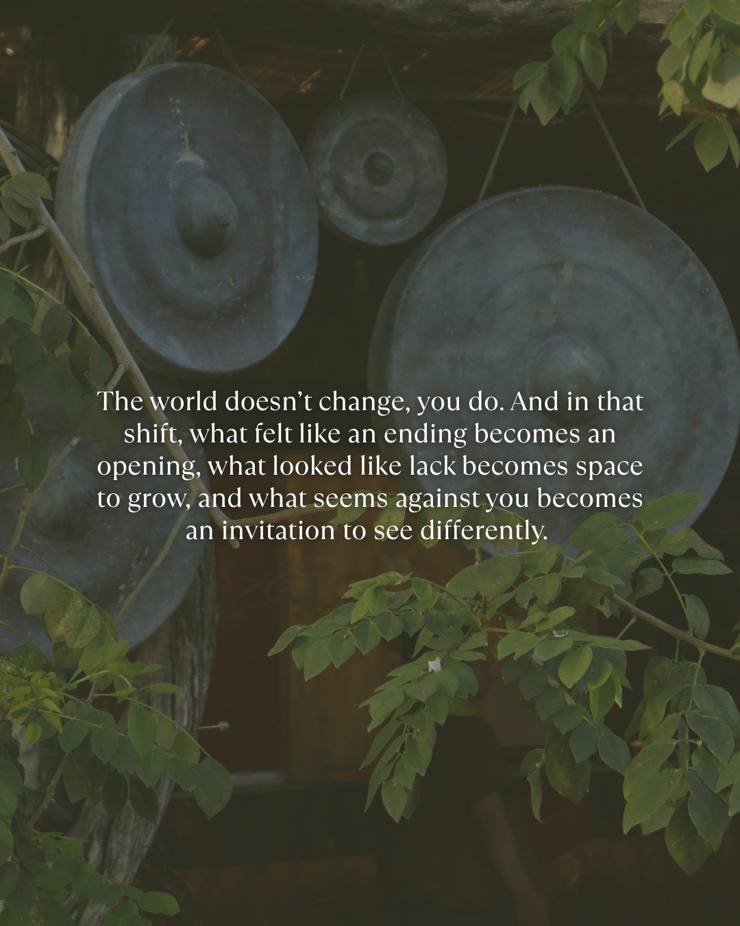 If that resonated with you, remember this: the shift I&rsquo;m talking about is more than a "positive mindset"...It&rsquo;s nervous system work. When we learn to meet life from a place of curiosity instead of tension, our body starts to let
