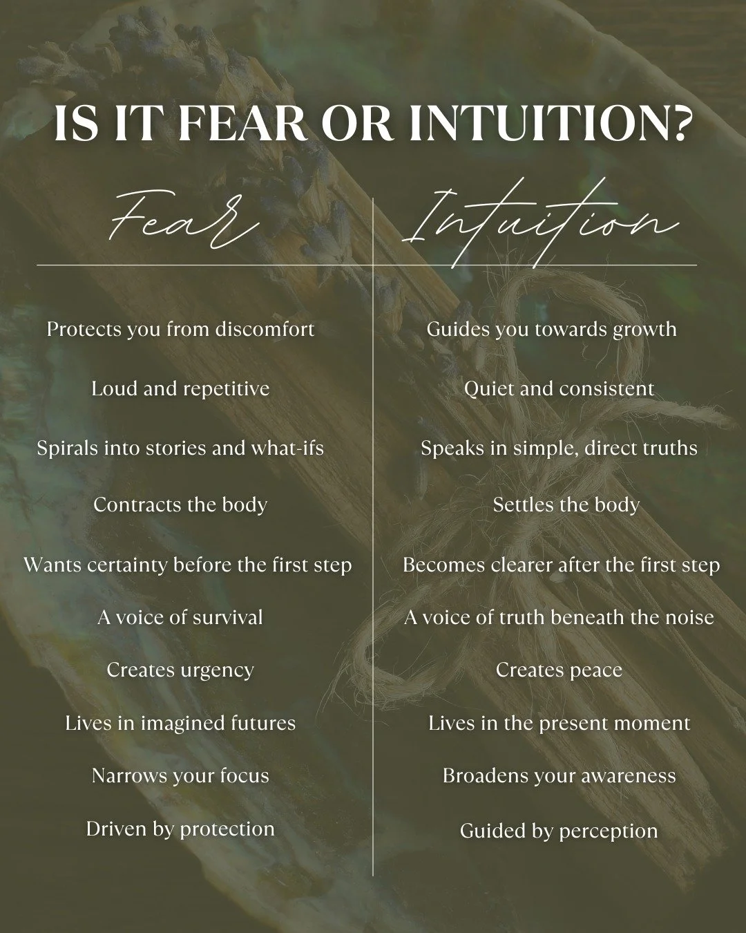 ✨ A dysregulated nervous system can mistake fear for intuition...A regulated nervous system can tell the difference. ✨

Doing the work to regulate your nervous system gives you access to what has always been yours: inner peace, self-trust, and the ab