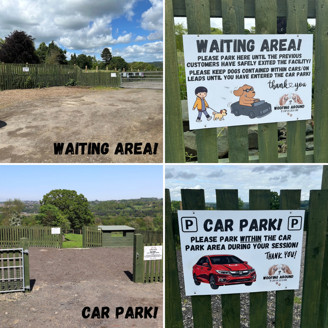 Untitled design - 2024-06-12T135746.914.png