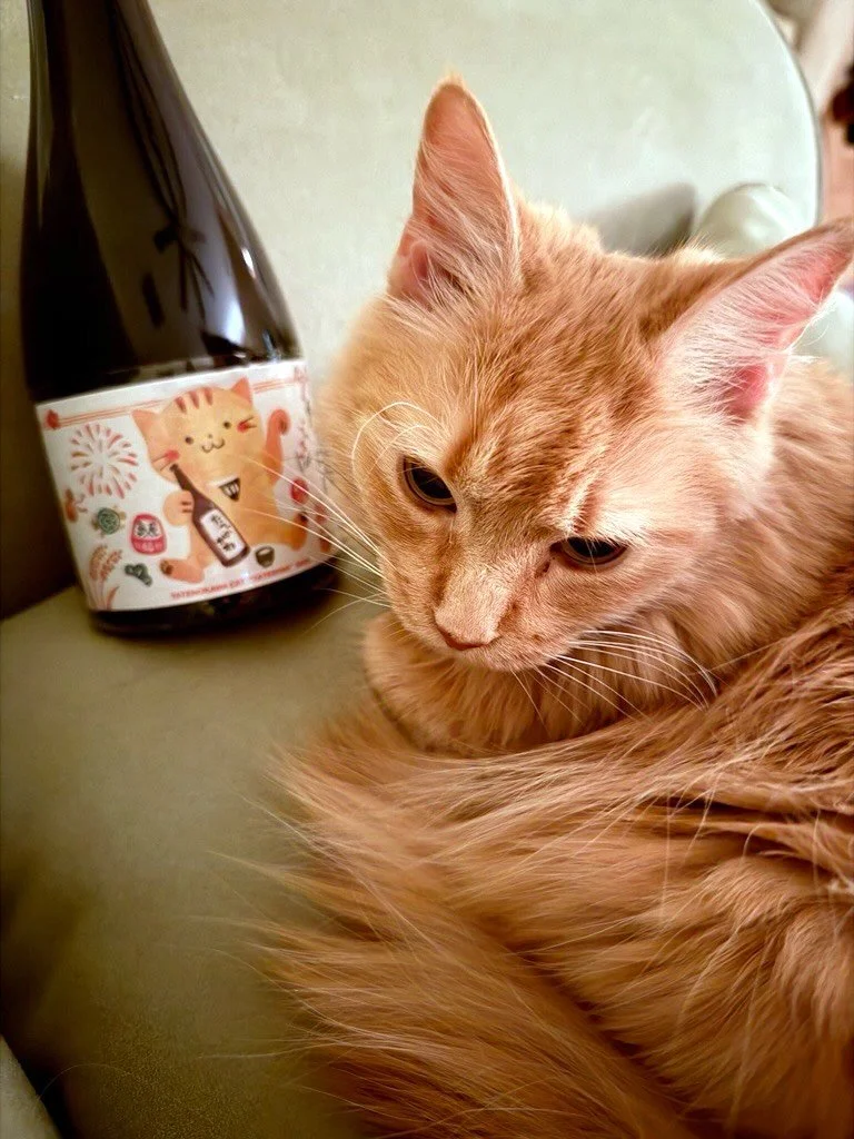 Did you know? In Japan, today (2/22) is Cat Day because the date sounds like a cat meowing: Nyan Nyan Nyan! 
It&rsquo;s the ultimate excuse to celebrate our feline friends, and we have the purrfect drink selection for this day. 
🍶 Tatenokawa Tatenya