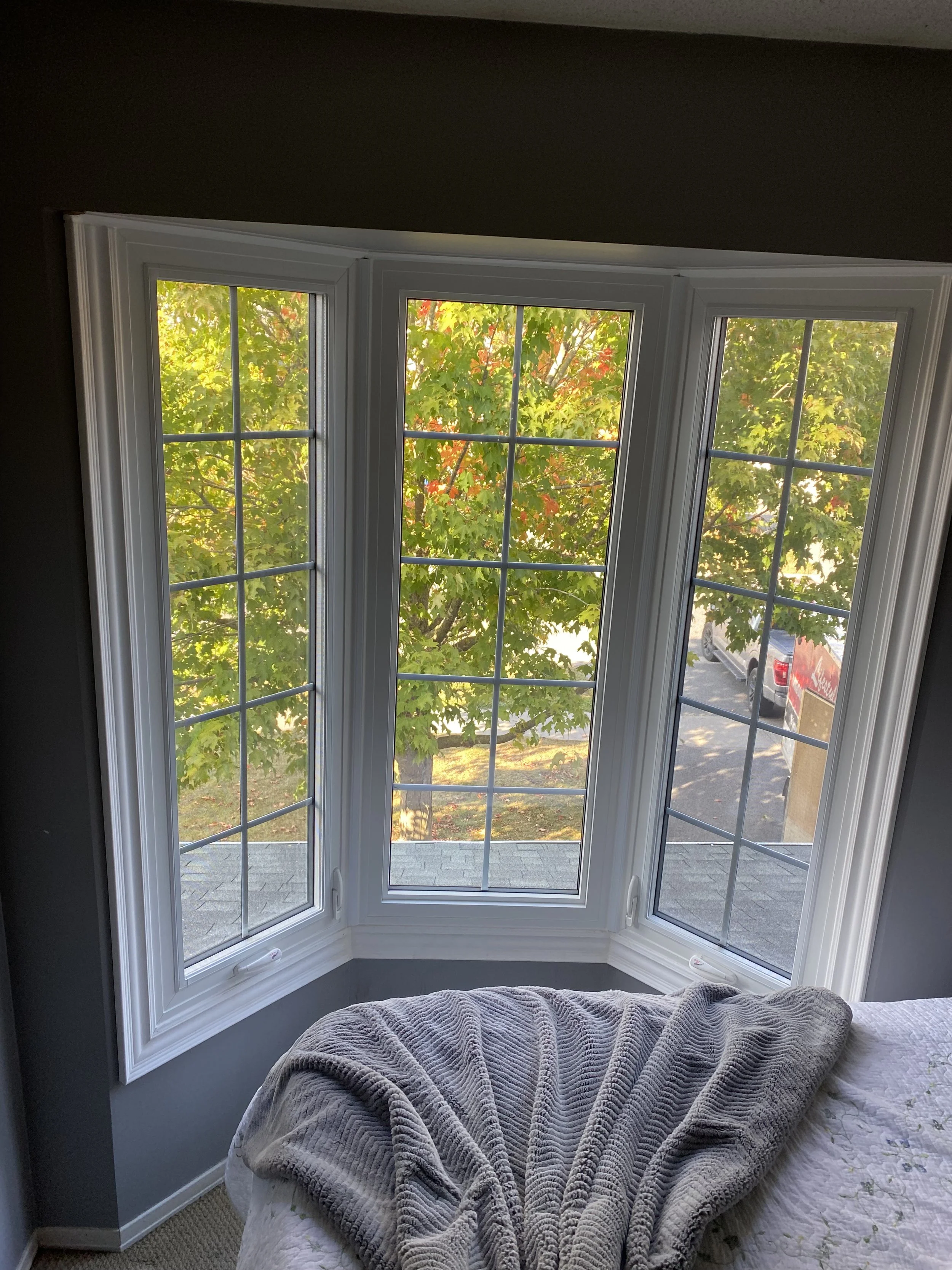 IMG_6894.jpeg