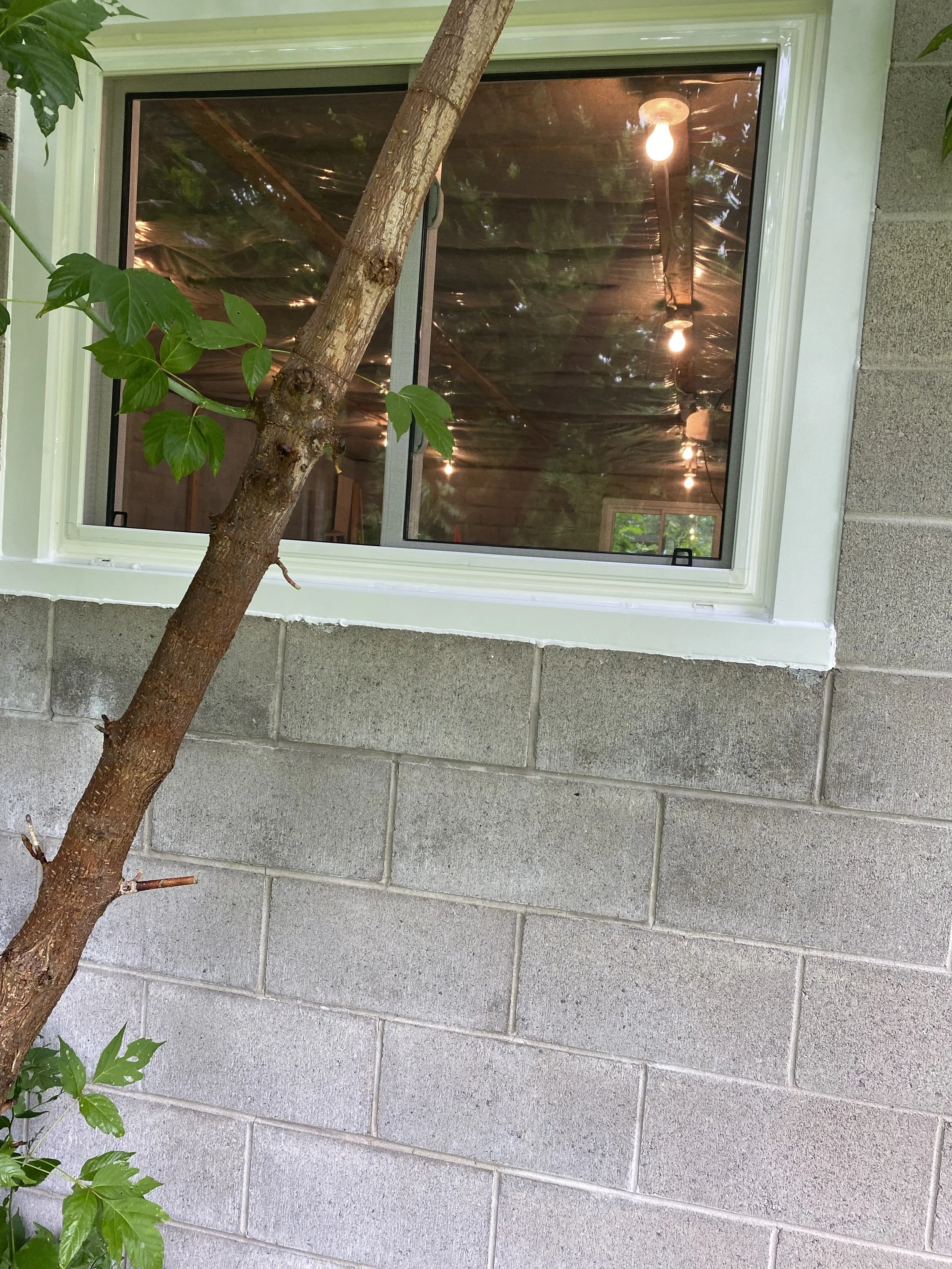 Window 3.jpg