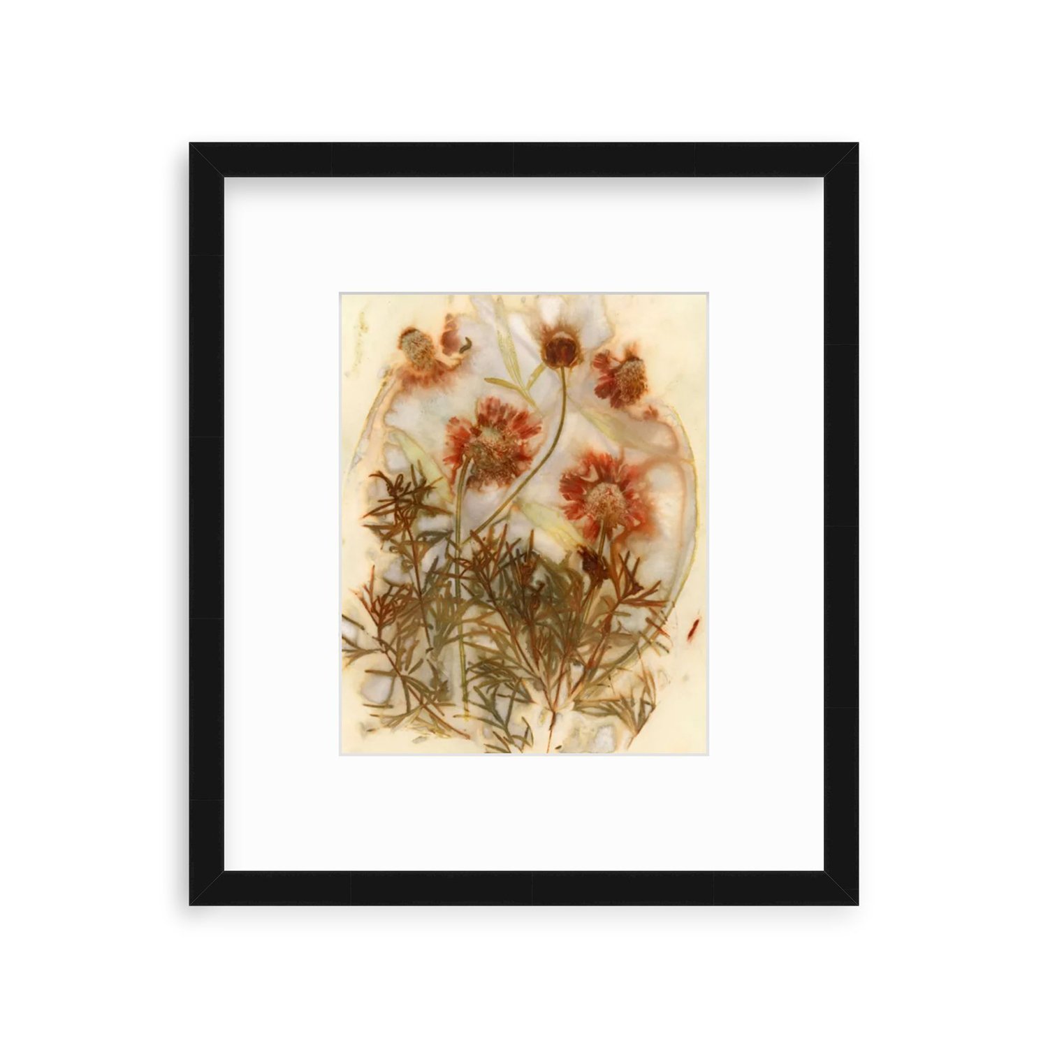 Terracotta Coreopsis II black frame.jpg