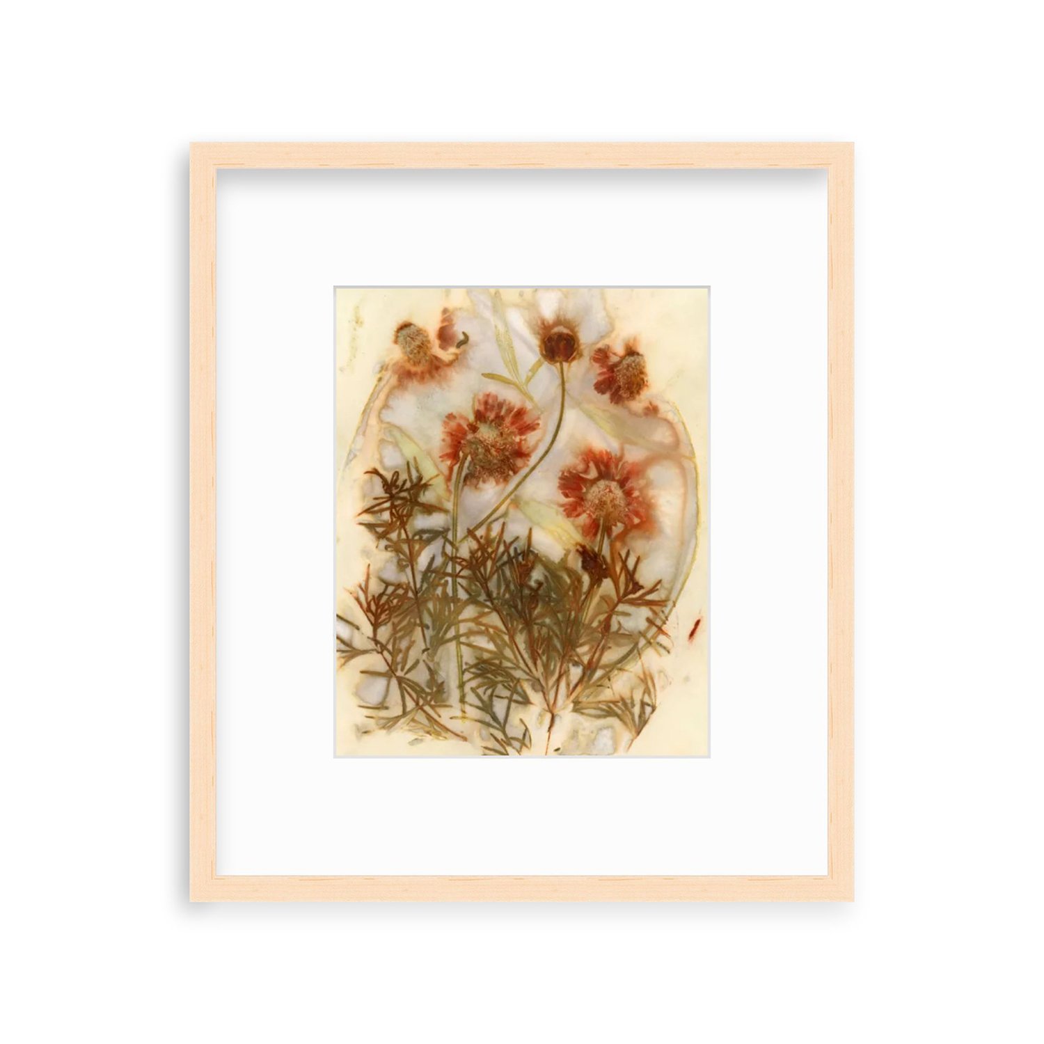 Terracotta Coreopsis II natural frame.jpg