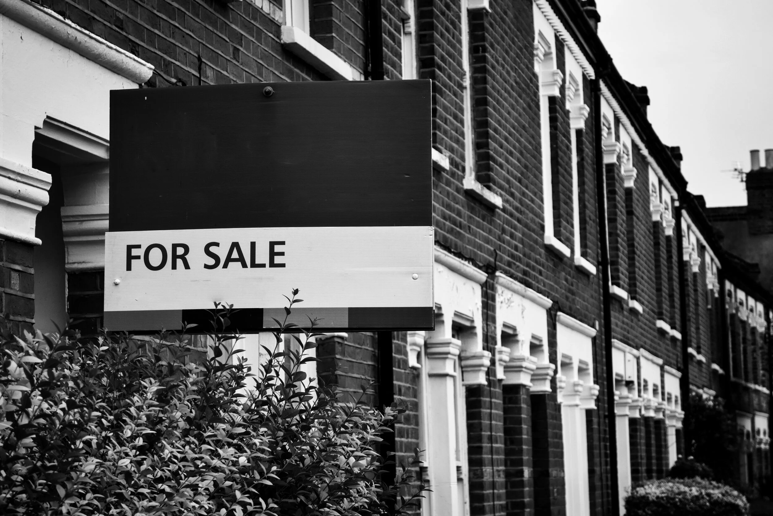 1181615617-huge 2.jpg