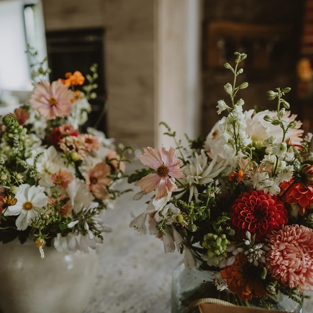 Olivia & Ben
September 2024
Toot Baldon
Too good to have missed posting these - I've been looking through photos for inspiration for quotes I'm working on for next year. I received these in my inbox in the depths of winter last year - always such