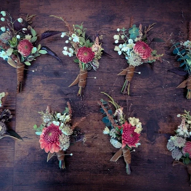 October wedding @ The Crazy Bear Stadhampton. 
Button holes of astrantia, astilbe heads, dahlias, tirella and astrantia.
Bridal Bouquets of rose, dahlias, Echinacea and Amaranthus. 
#Octoberweddings #Flowersfromthefarm #seasonalfloweralliance #seaso