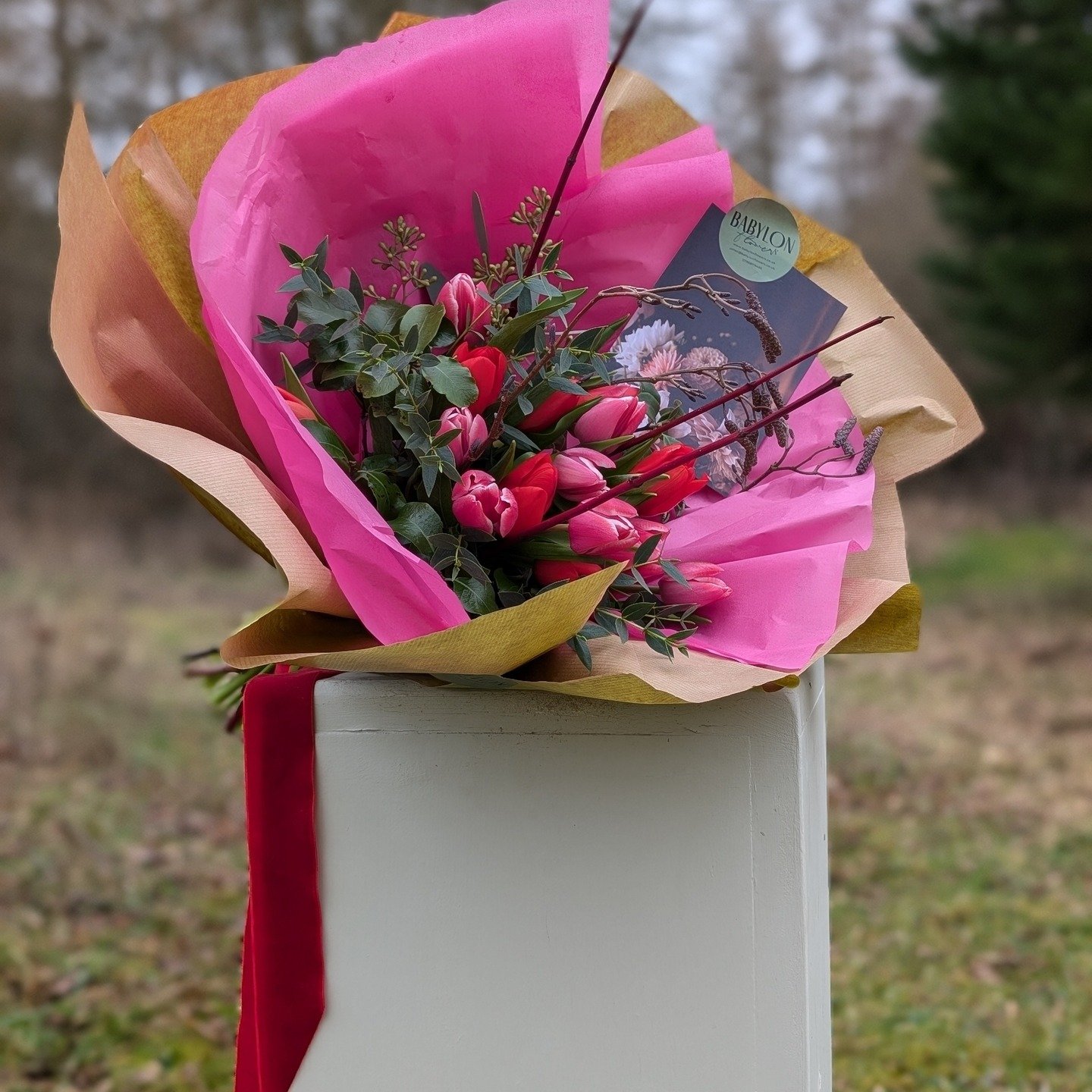Valentines Day Bouquets. 
Smith &amp; Munson Tulips- Pink &amp; Red or Red, Pink &amp; Orange. 
Scarlet Verona, Seadov Parrot, Strong Love, Flashpoint double 
Catkins, British foliage's, red dogwood and pussy willow. 

Wrapped in pink tissue and fini