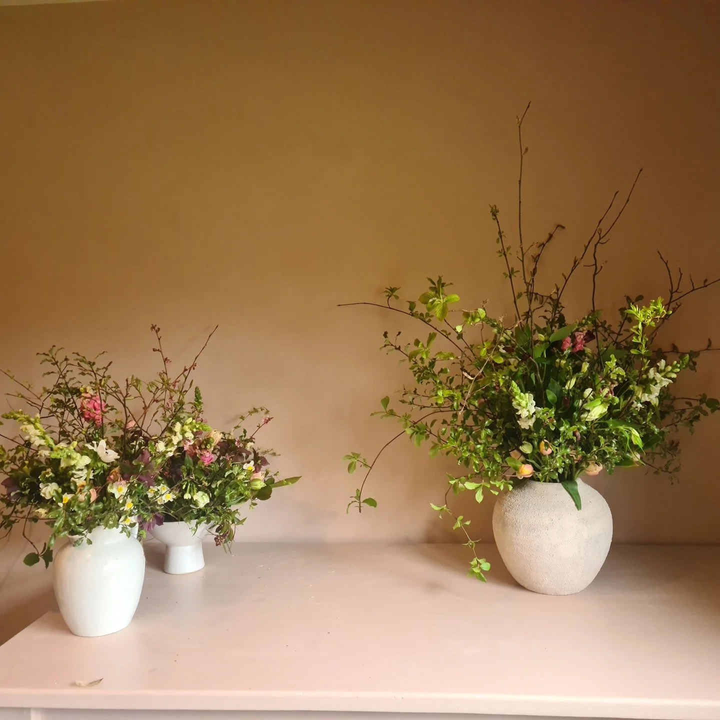 And suddenly they are all here. 
Prima ballerina's @smithandmunson Snapdragons and Ranunculus @highcroftnurseries 
Blossom, Narcissi, Amelanchier, Cornus, Sarcococca. 

#gardengathered #springflowers #babylonflowers #oxfordsireflorist #mothersdayflow