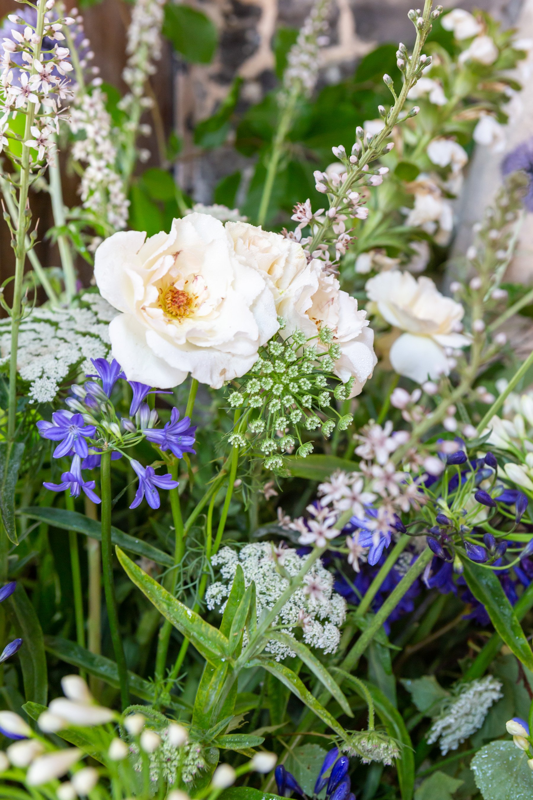 Babylon_Hambleden+Henley_July22©EllieWalpole-2.jpg