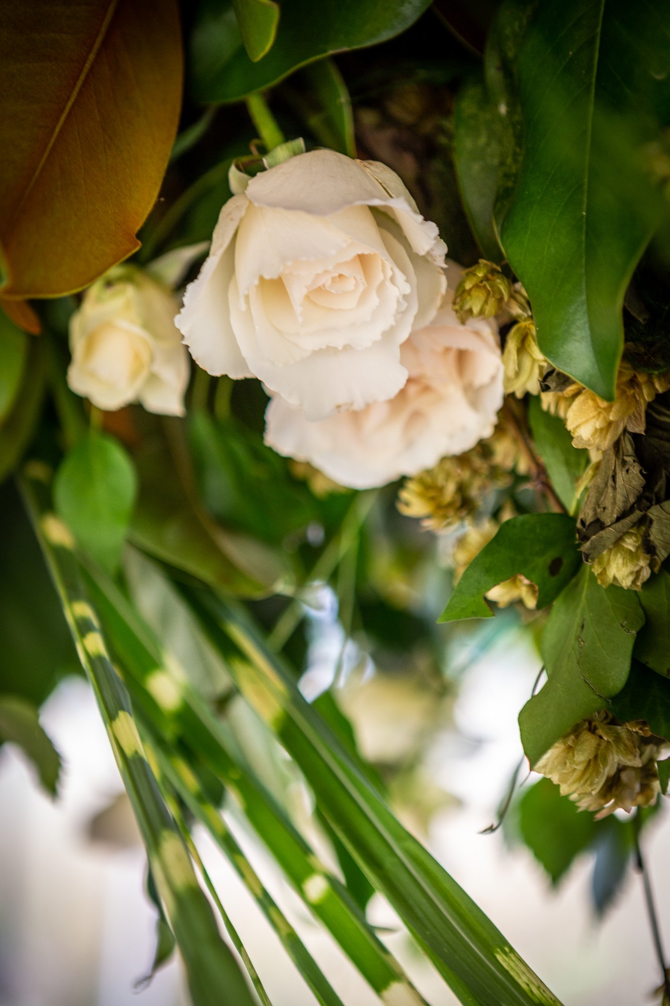 BabylonFlowers_India HicksCEllieWalpole-131.jpg