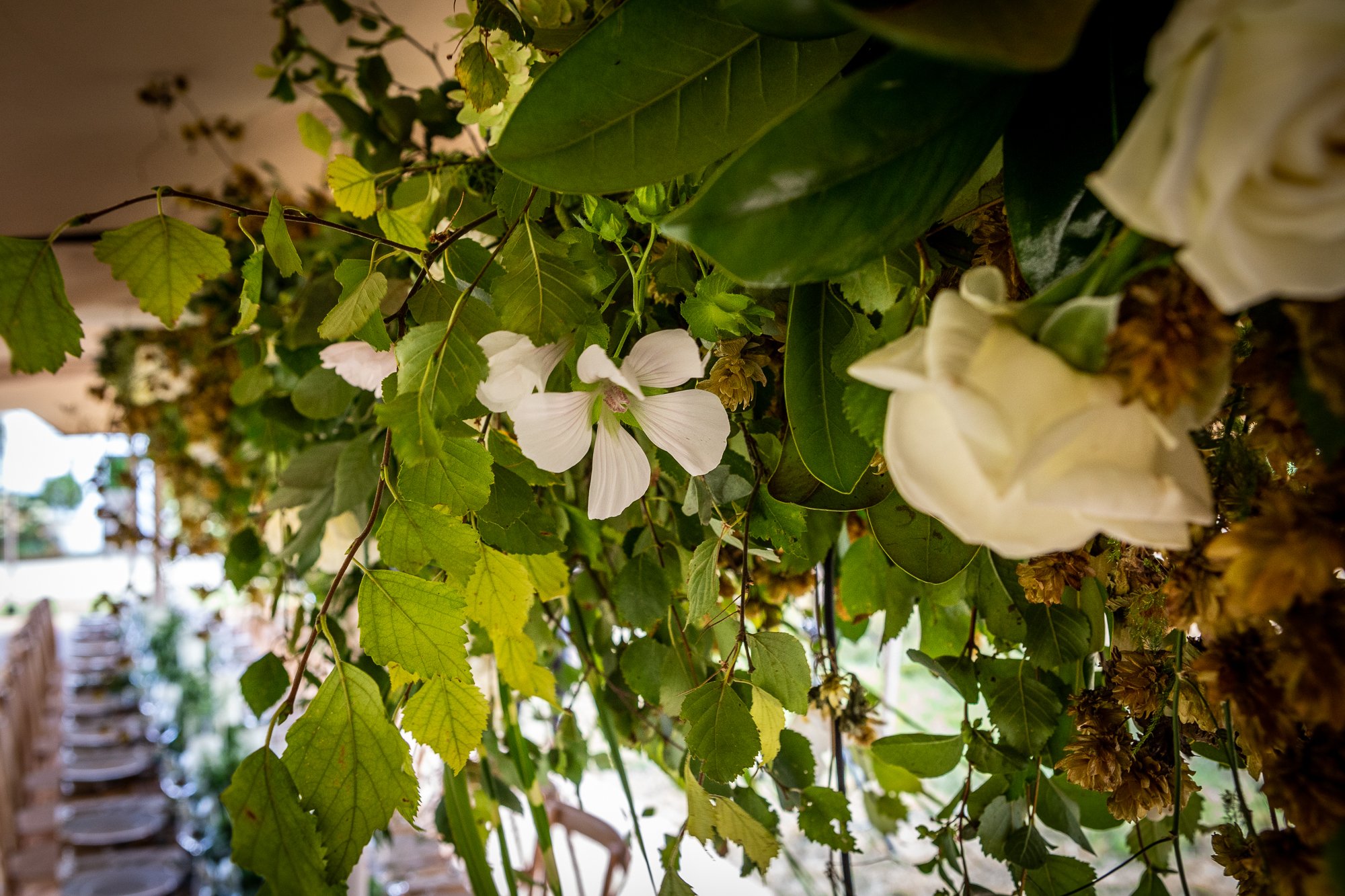BabylonFlowers_India Hicks©EllieWalpole-139.jpg