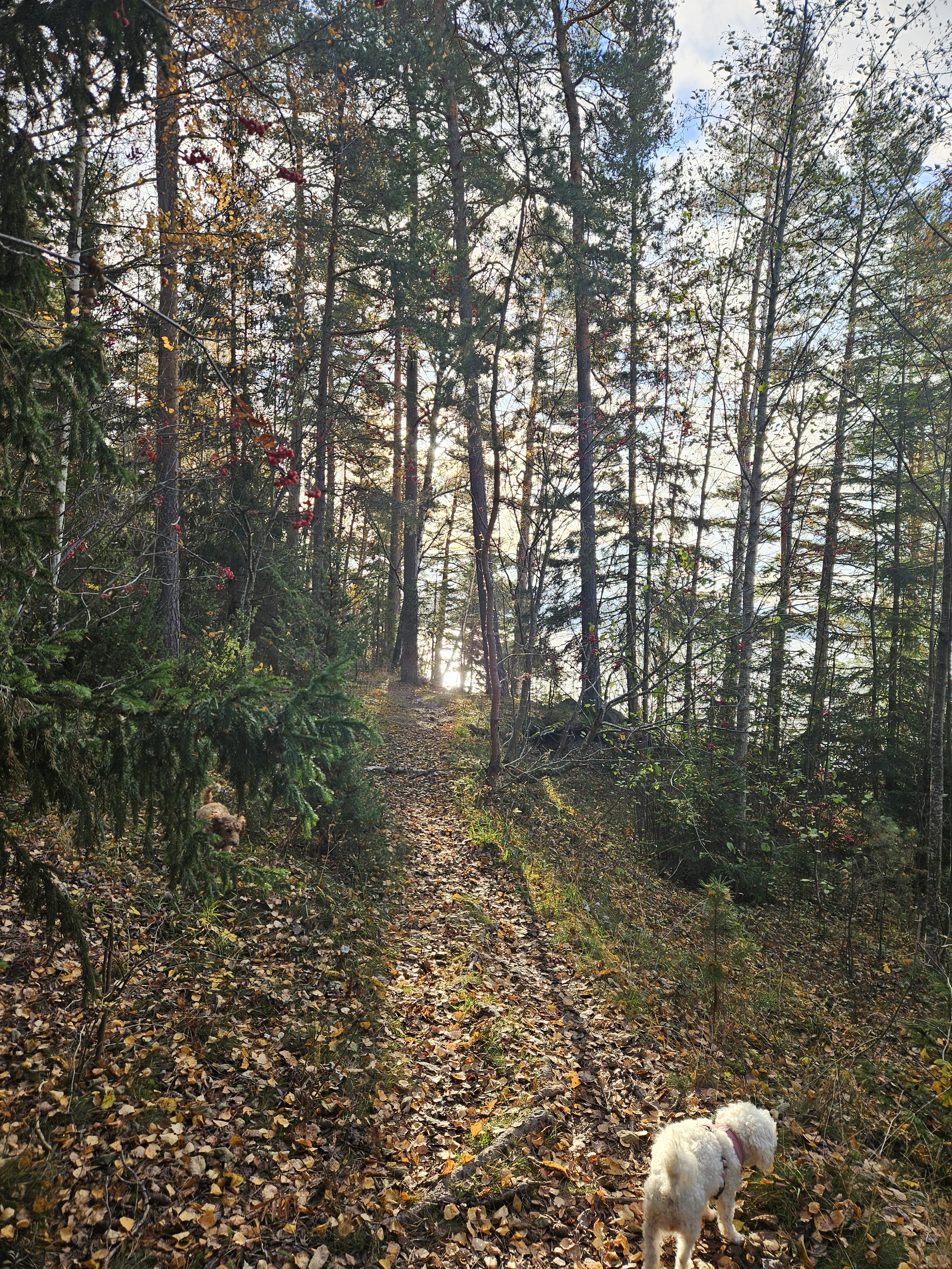 20241025_110655.jpg