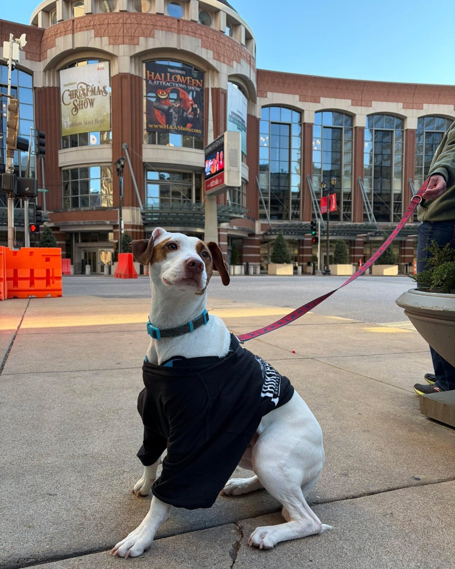 Hanging out with our favorite staff member TransWorld's Halloween &amp; Attractions Show, Sterling!