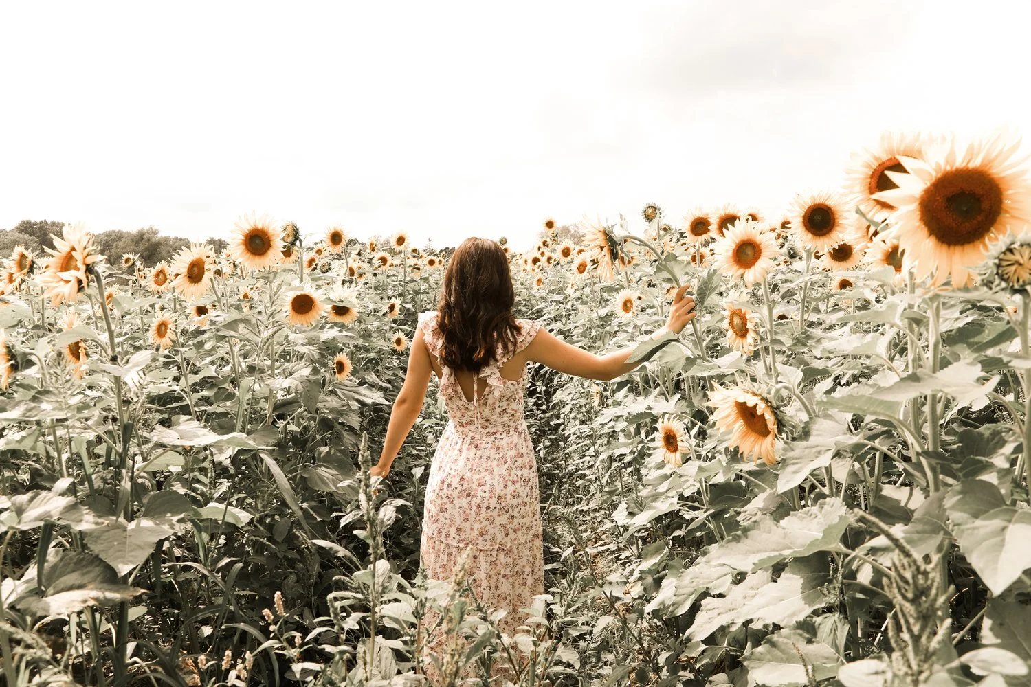AbigailFarmer048.jpg