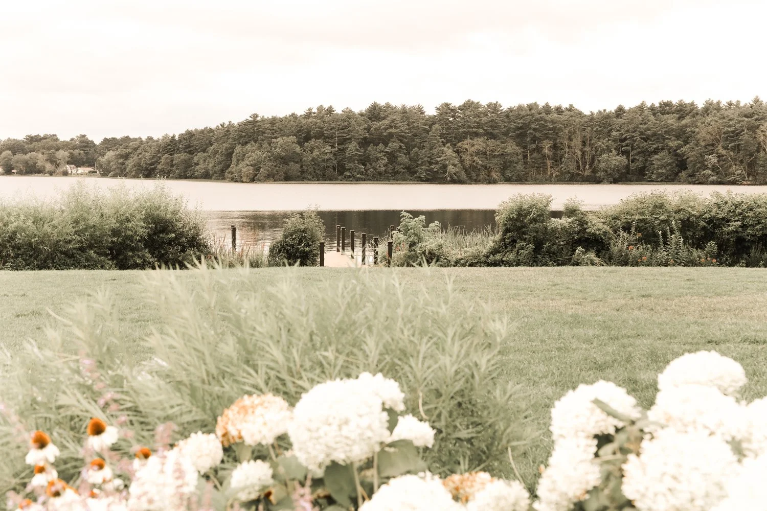 MasottaWedding0270.jpg