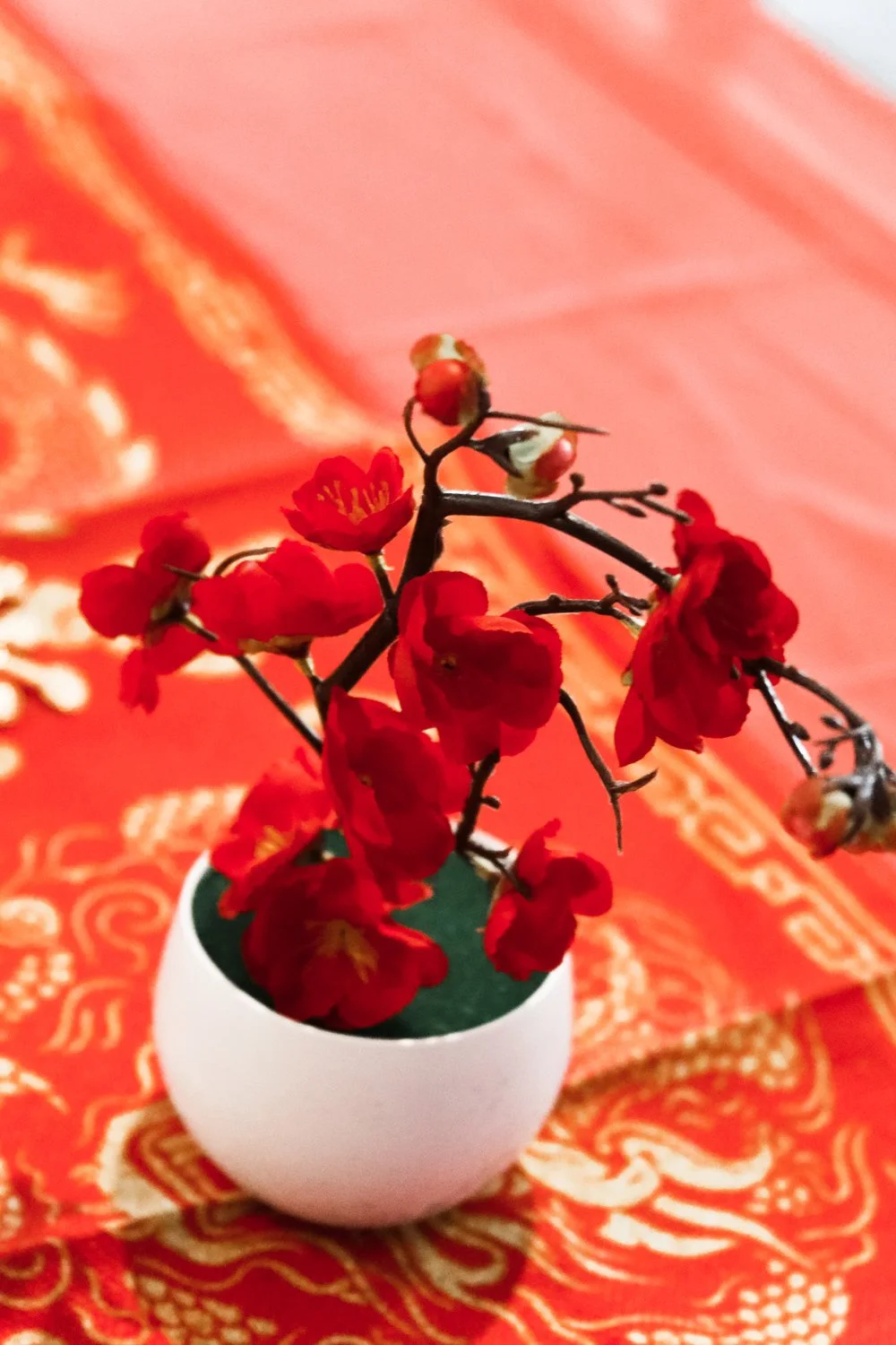 MasottaTeaCeremony002.jpg