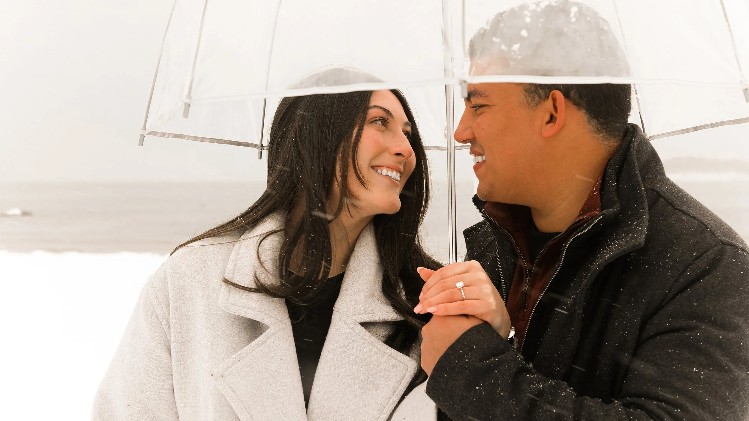 THE PROPOSAL 2.7.2026