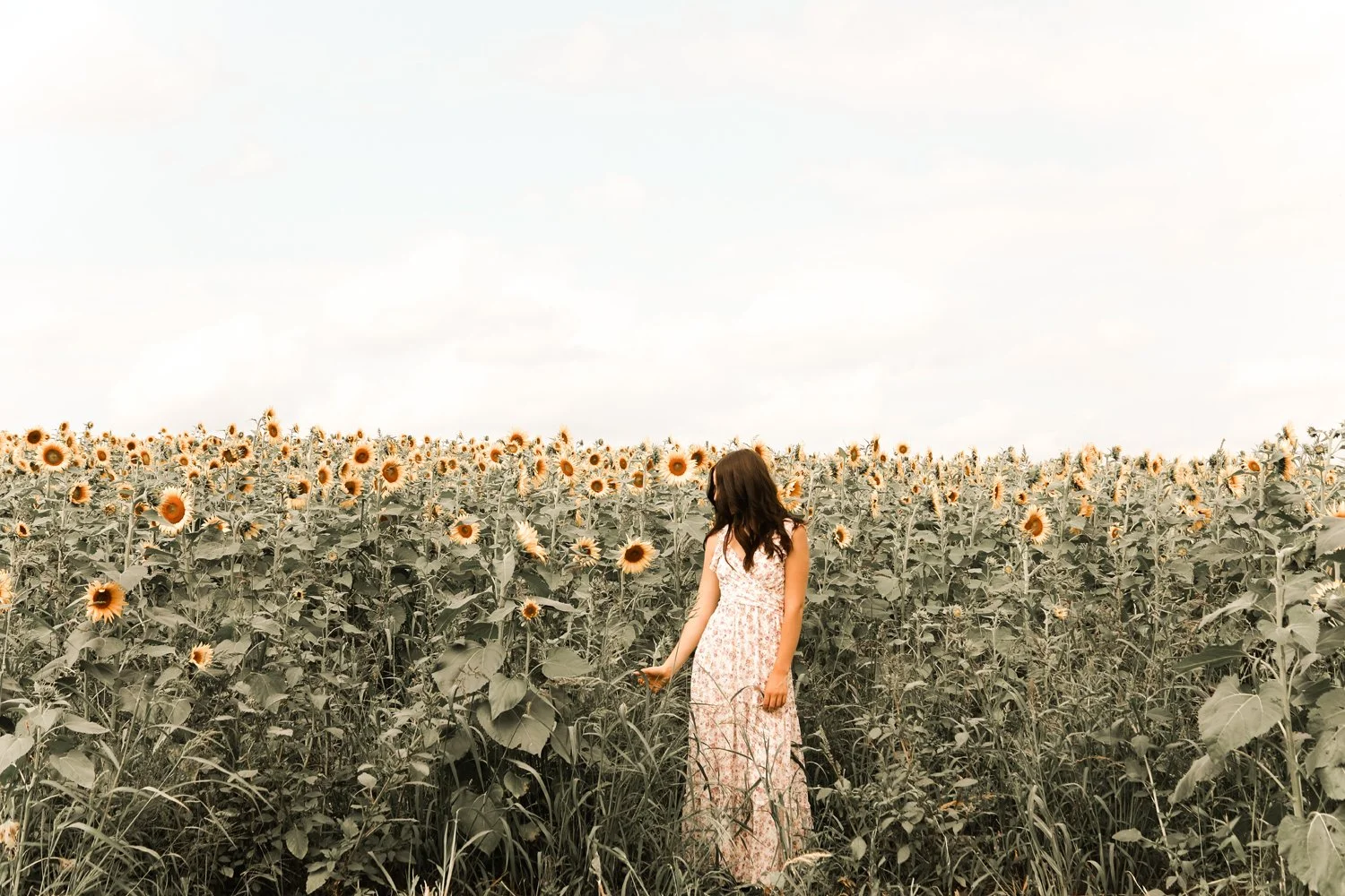 AbigailFarmer055.jpg