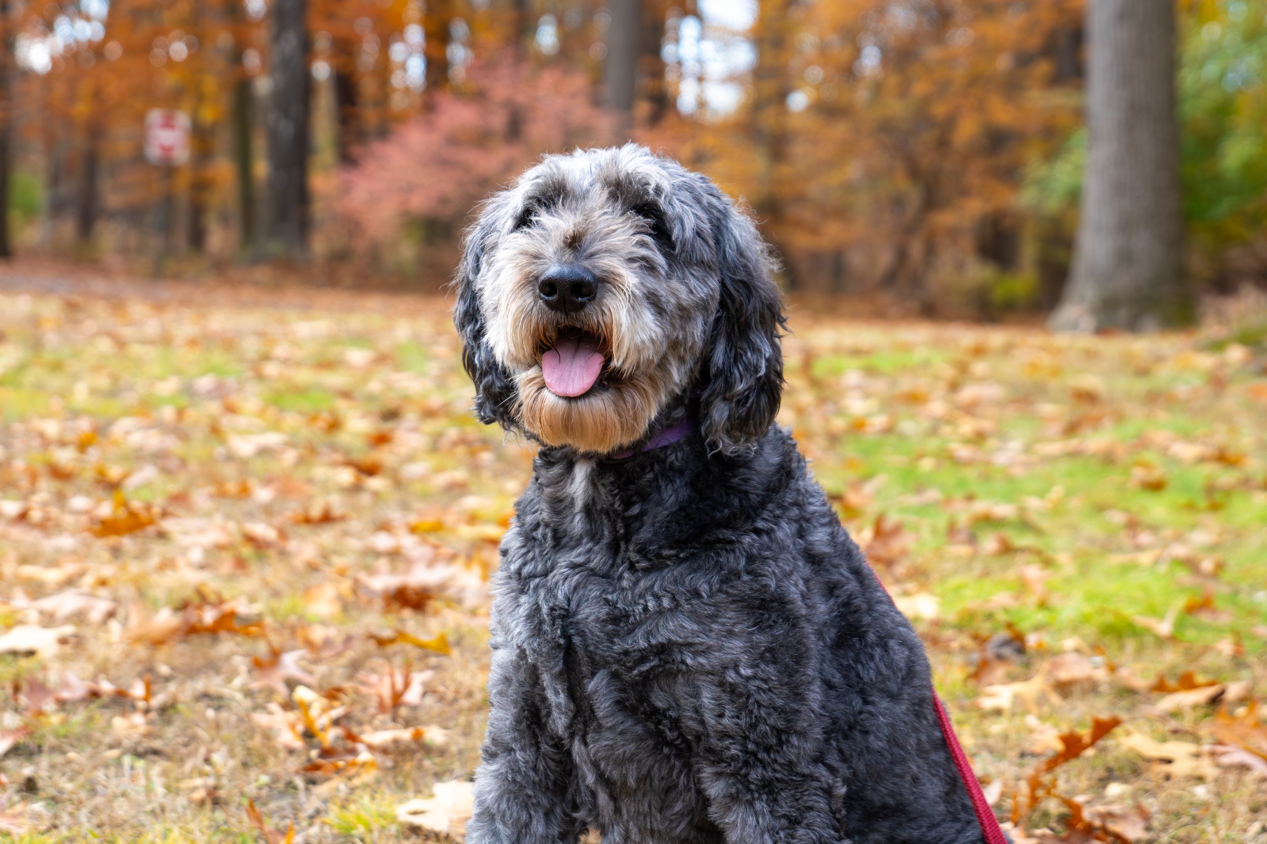 IMG_1585-Enhanced-NR copy.jpg