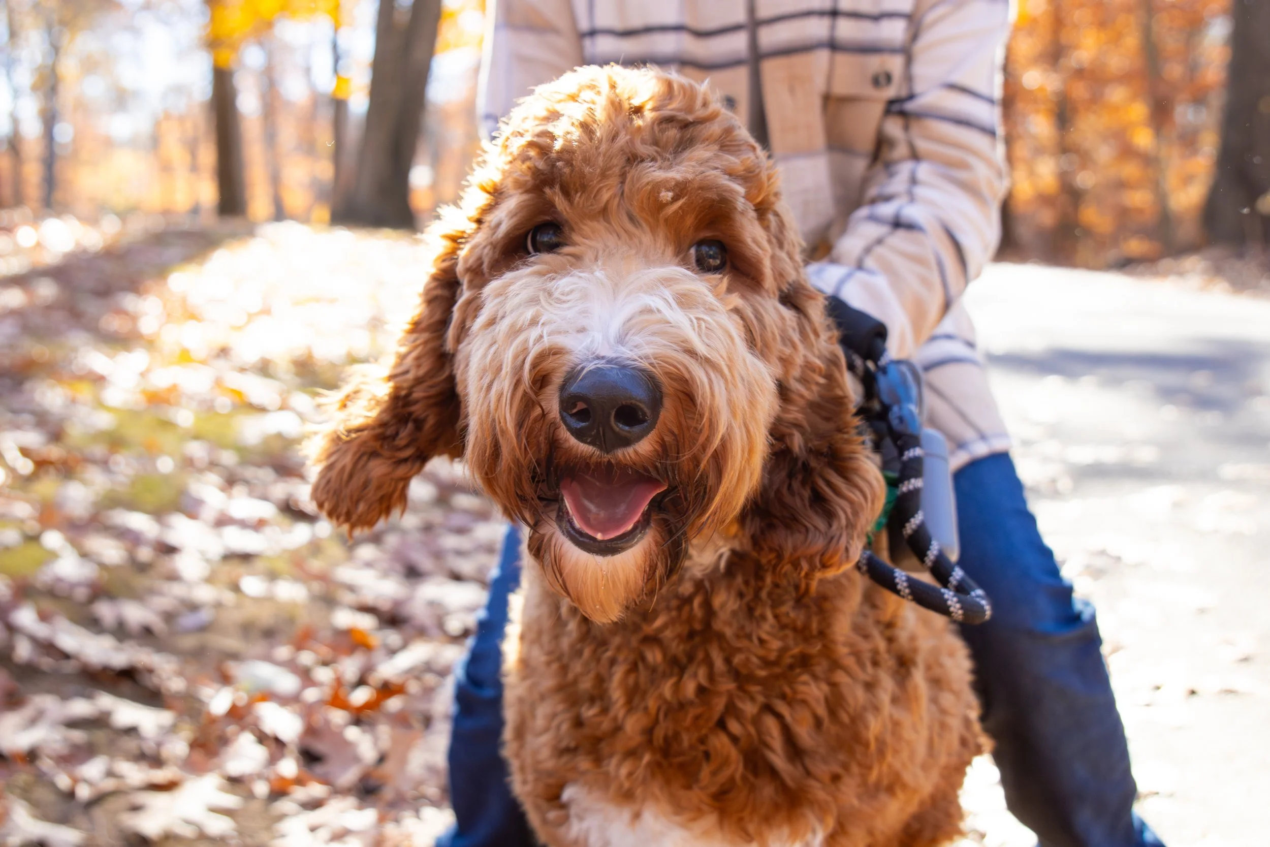 IMG_2493-Enhanced-NR copy.jpg