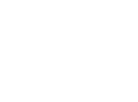 Park Macon