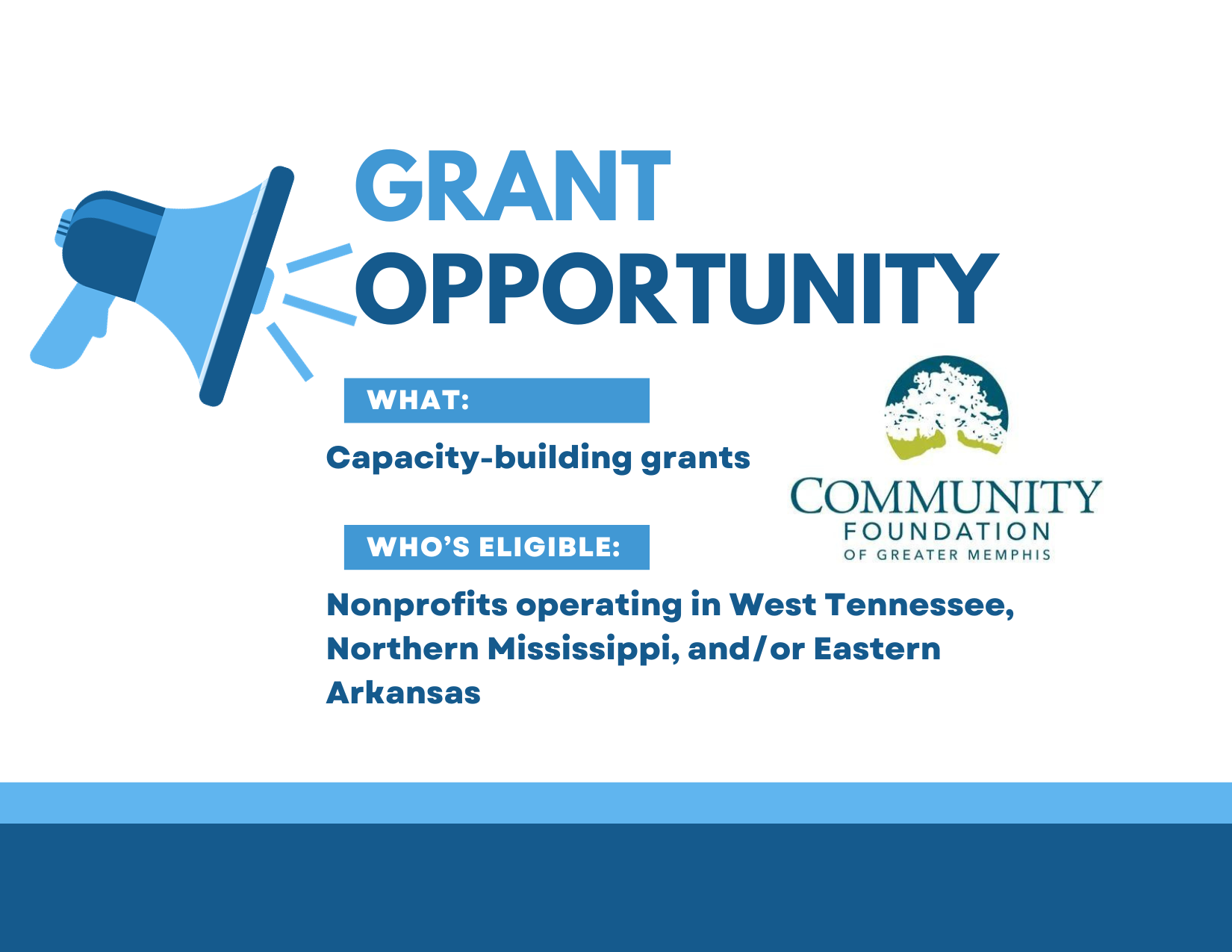 Grant Opportunity: Capacity Building Grant