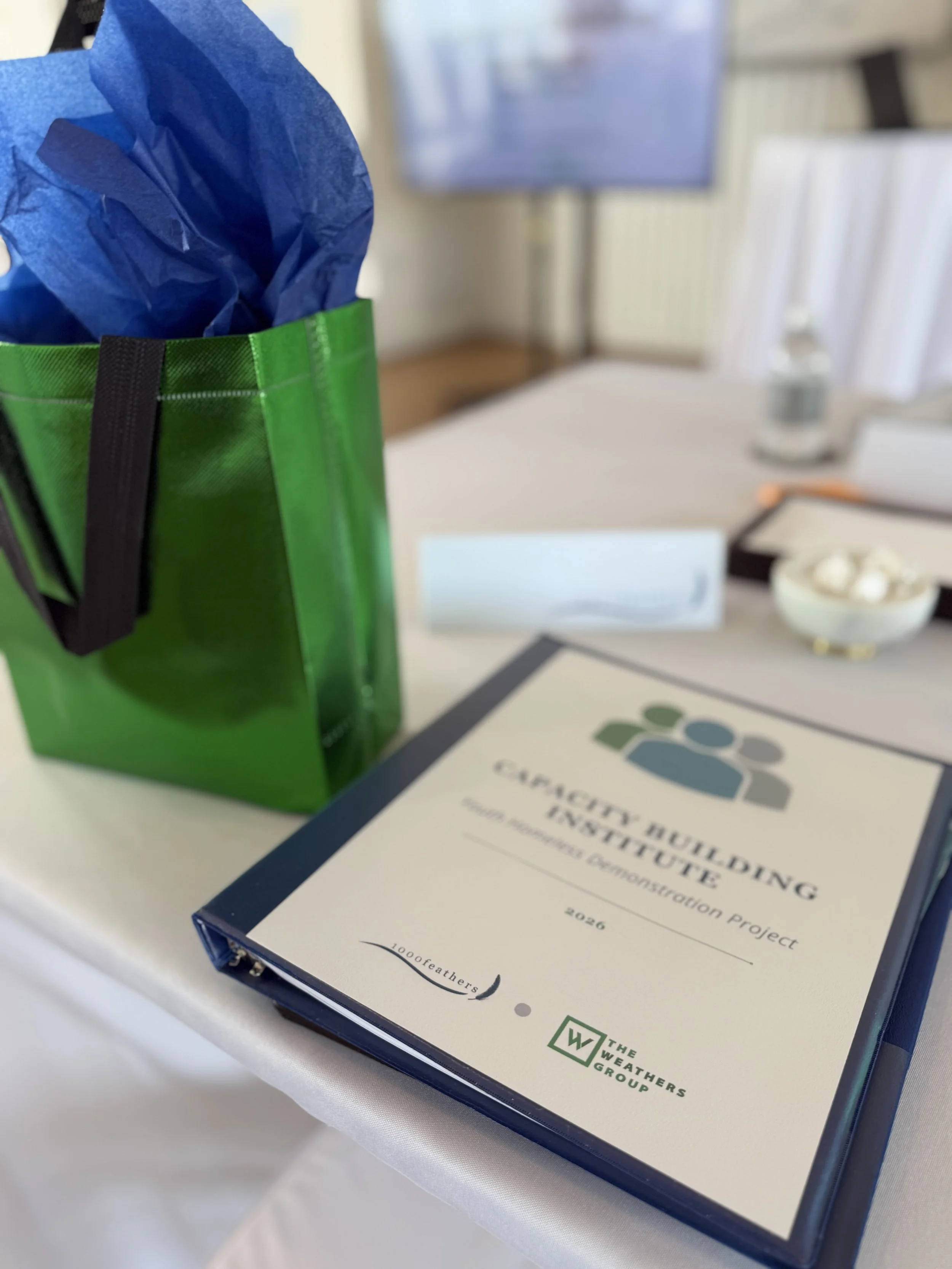 Building Capacity to End Youth Homelessness