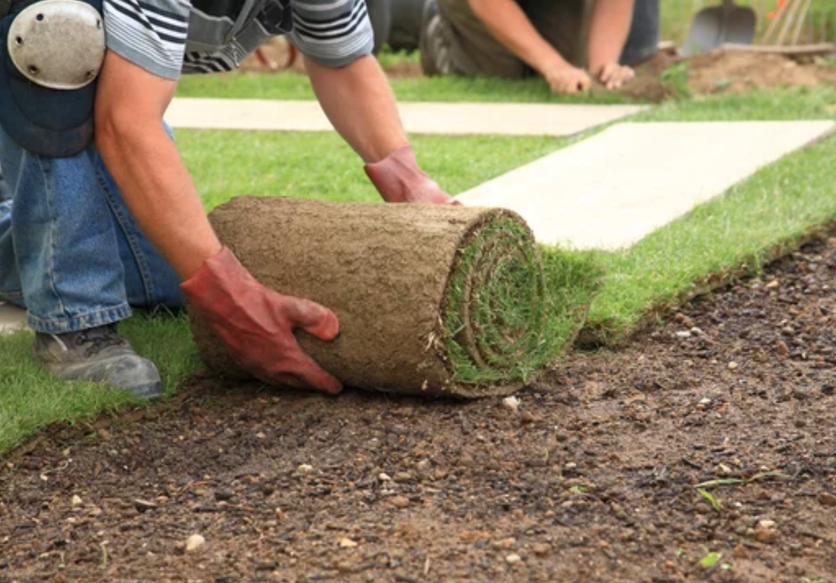 LANDSCAPE &amp; PROPERTY MAINTENANCE