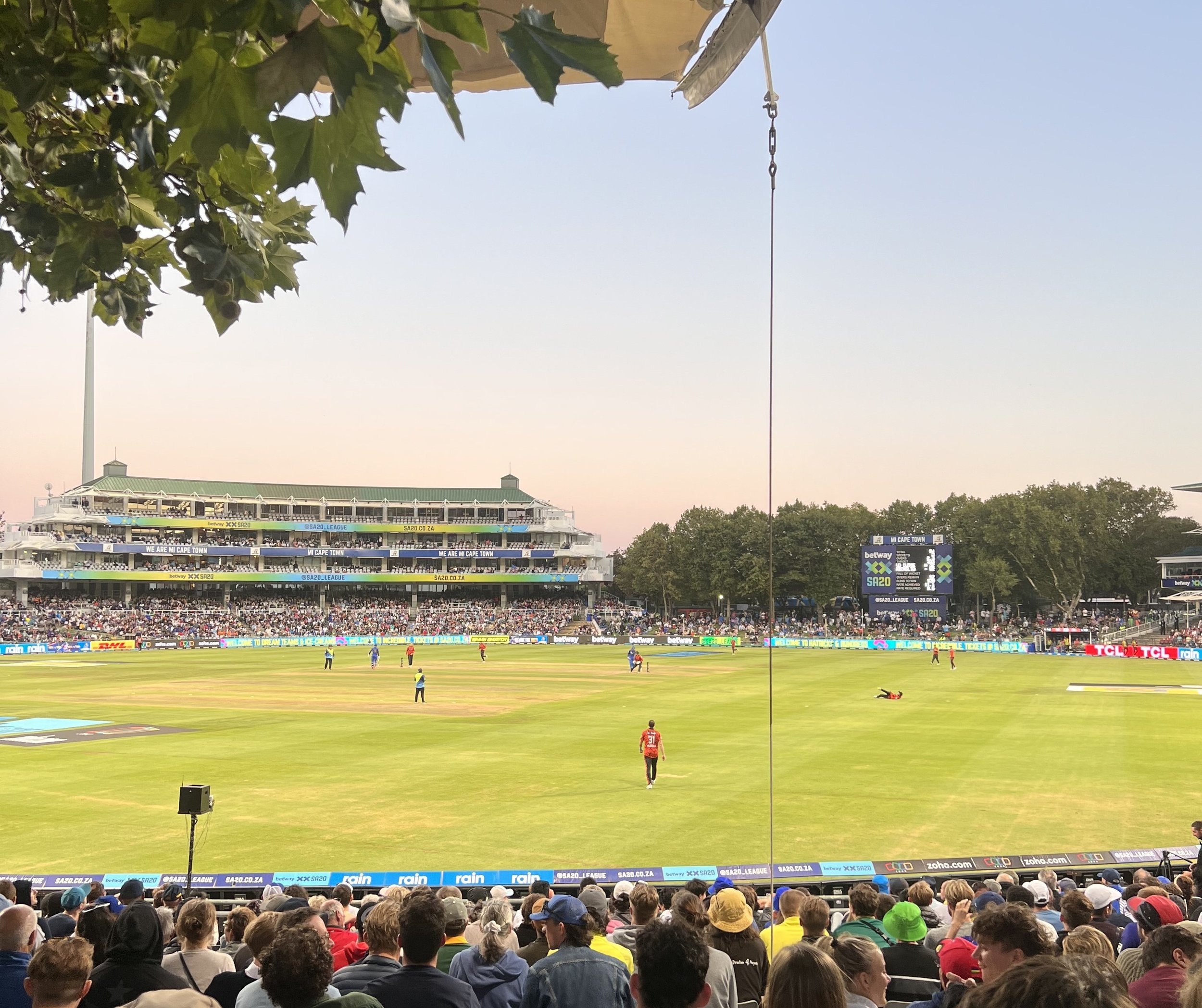 South Africa Cricket T20