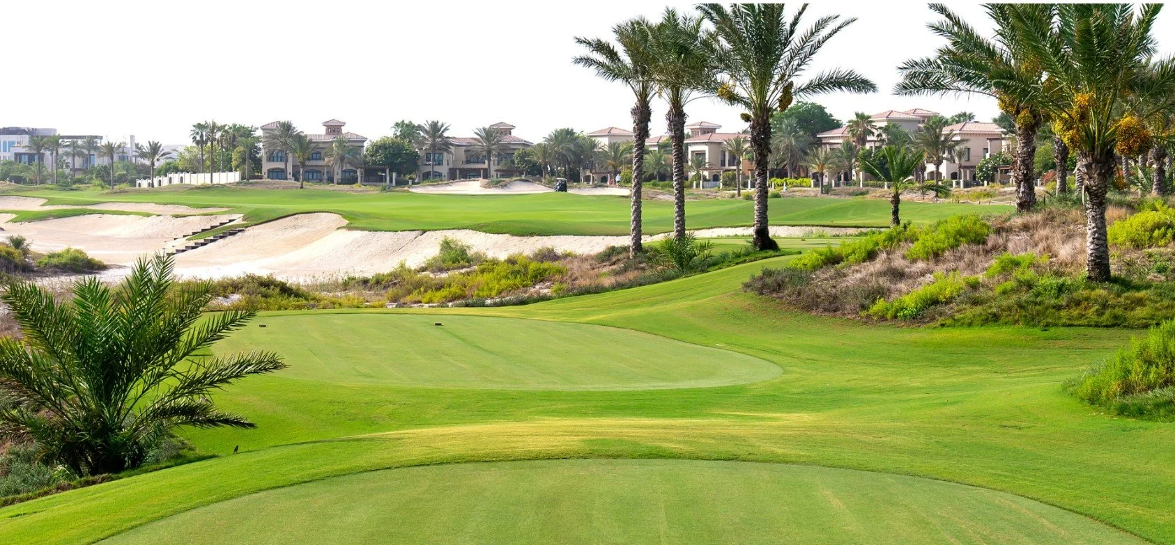 Saadiyat 3.jpg