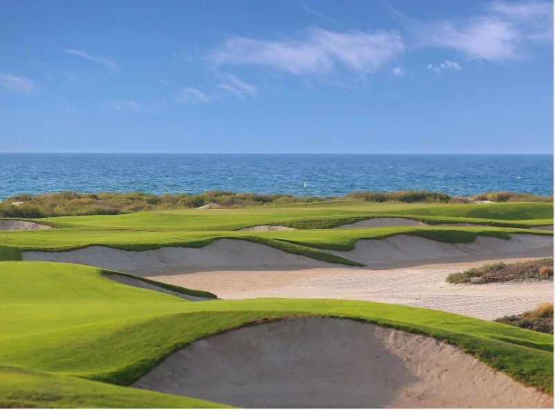 Saadiyat 7.jpg